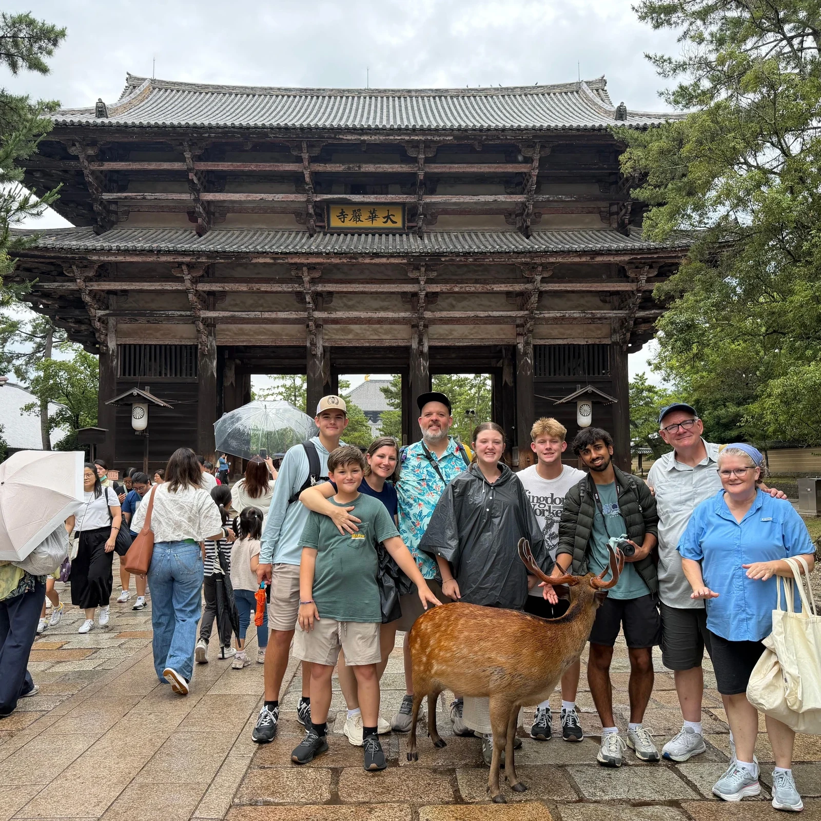 Visite matinale de Nara depuis Kyoto ou Osaka avant la foule