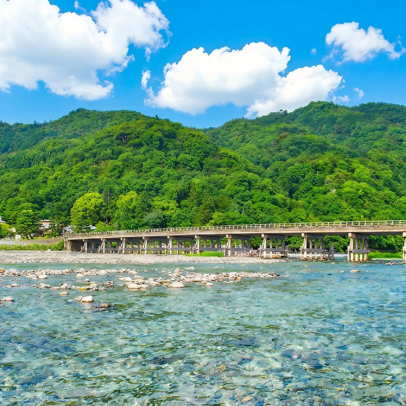 Nara, Fushimi Inari and Arashiyama Bus Tour from Kyoto or Osaka