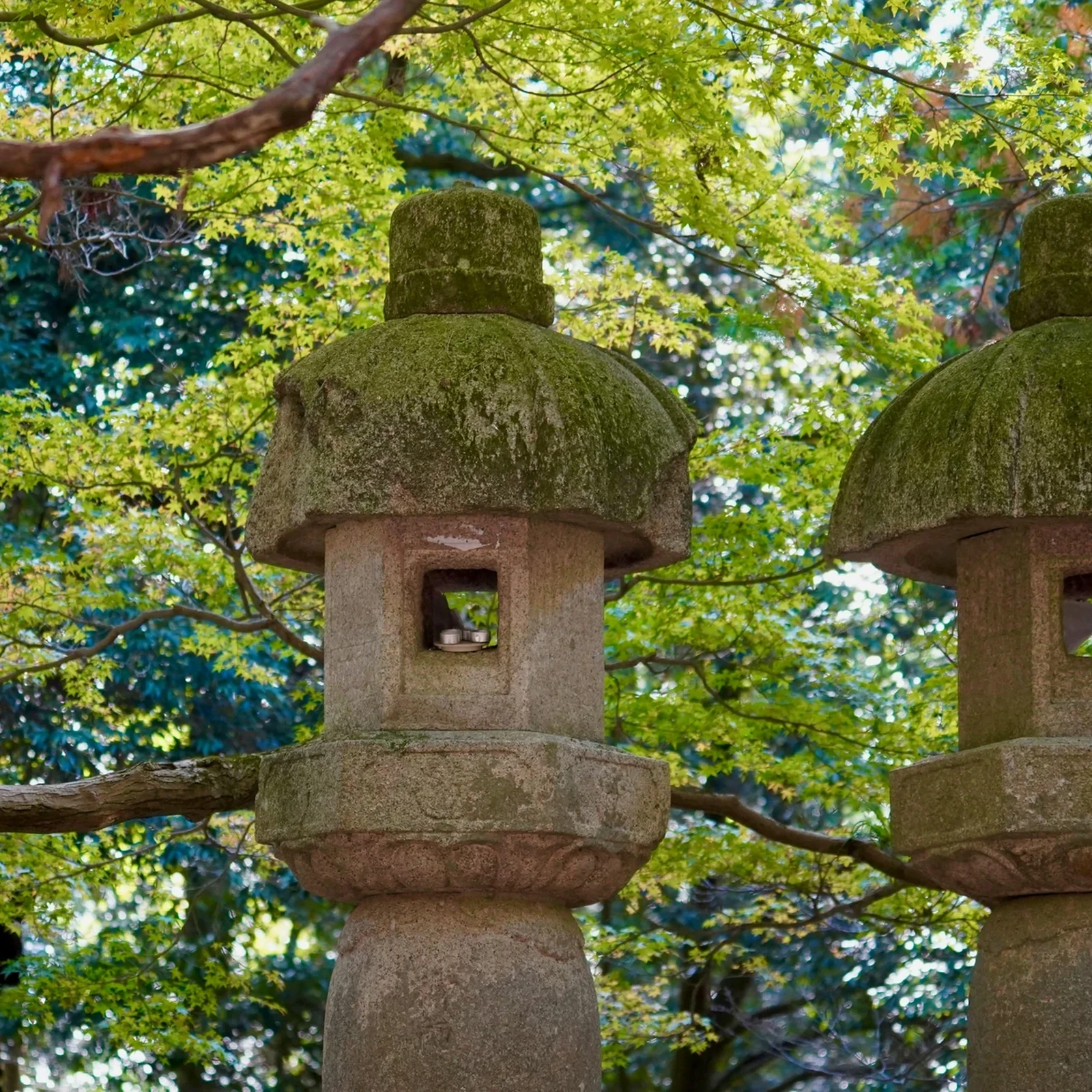 Nara Samurai Tour of Yagyu and Itto-seki