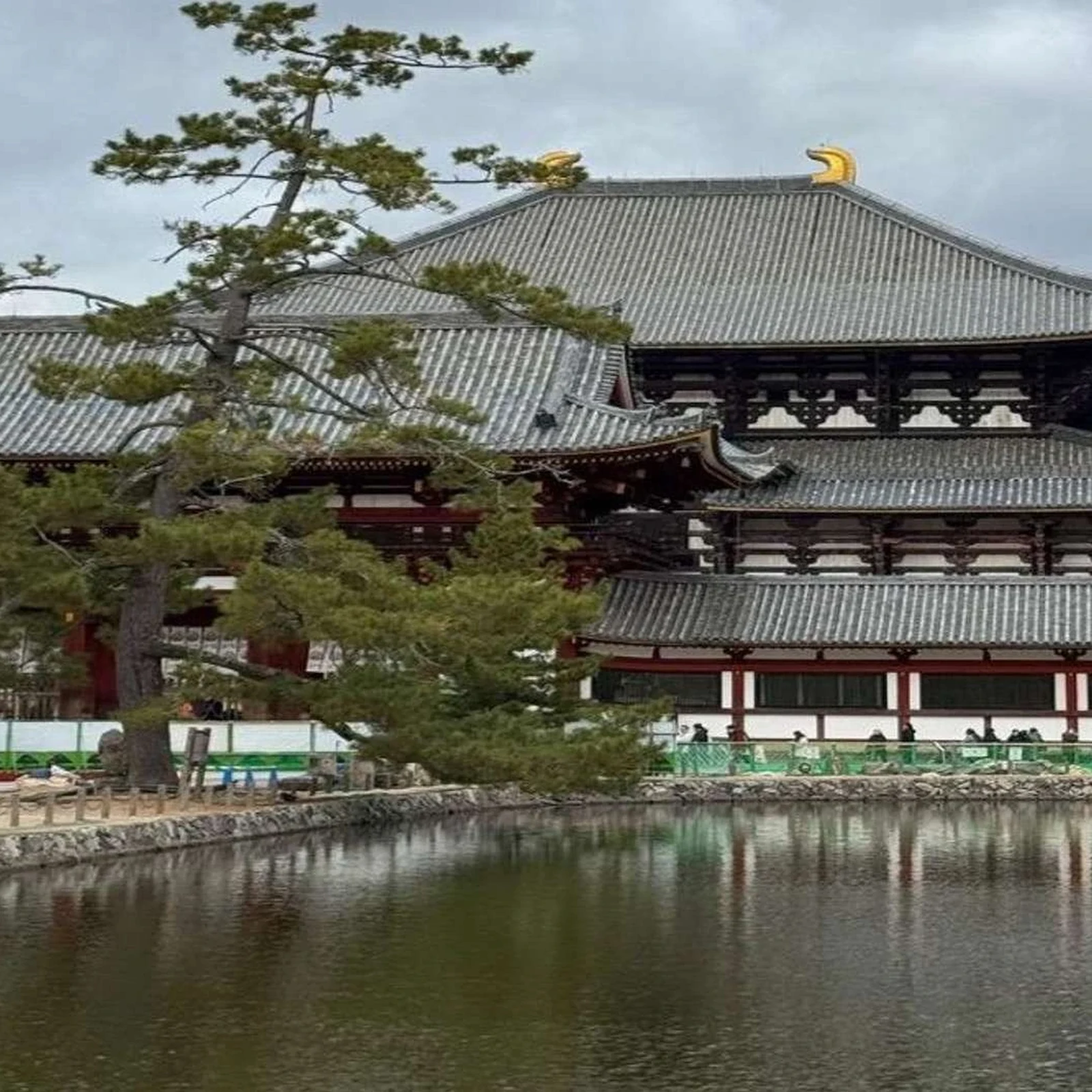 Private Nara Tour ab Tokio mit individuell anpassbarer Route