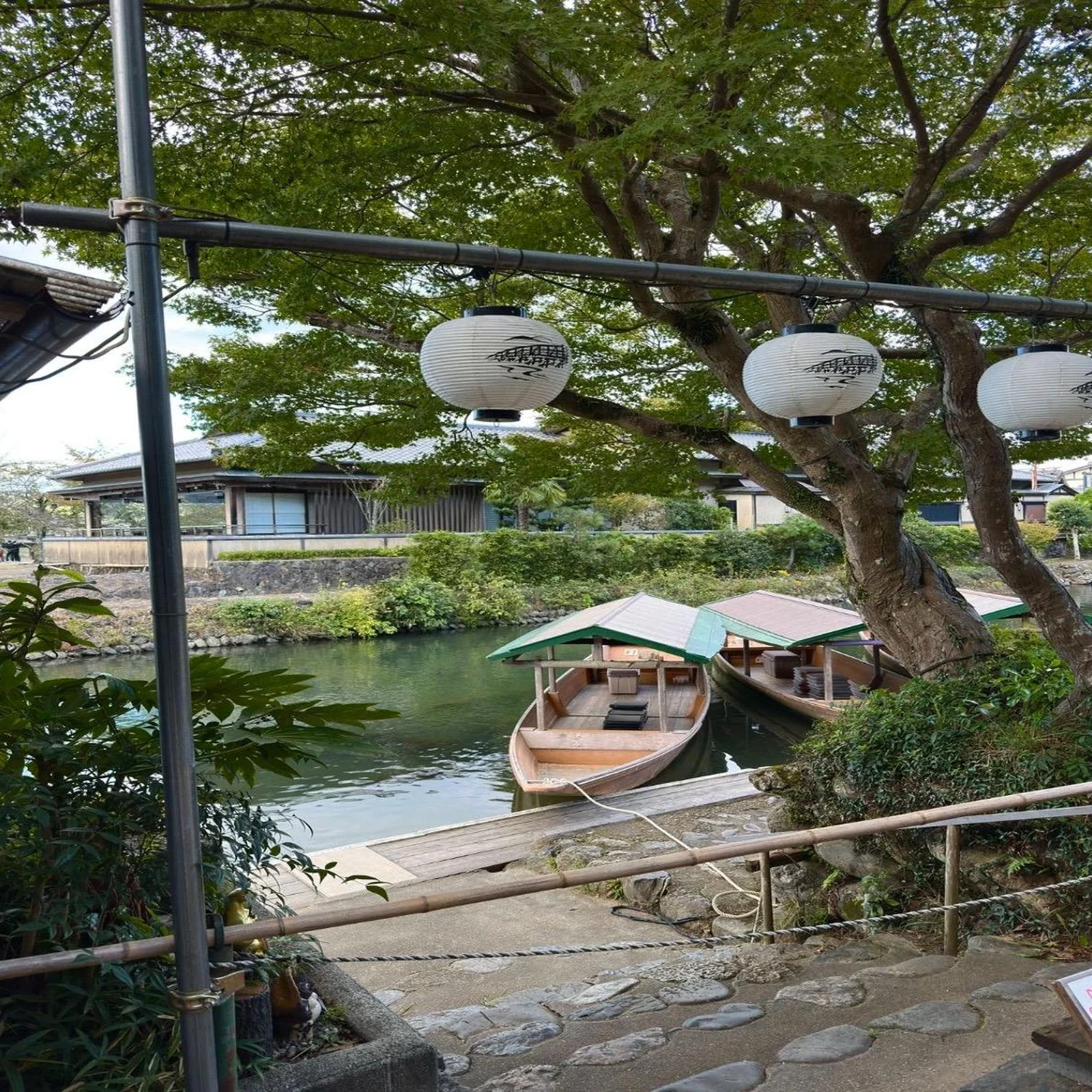 Private Nara tour from Tokyo with a customized itinerary