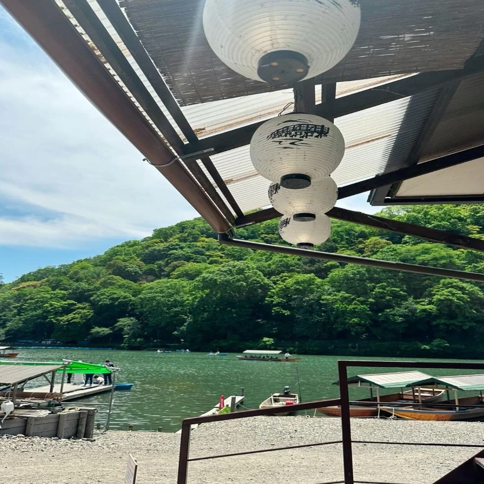 Private Nara tour from Tokyo with a customized itinerary