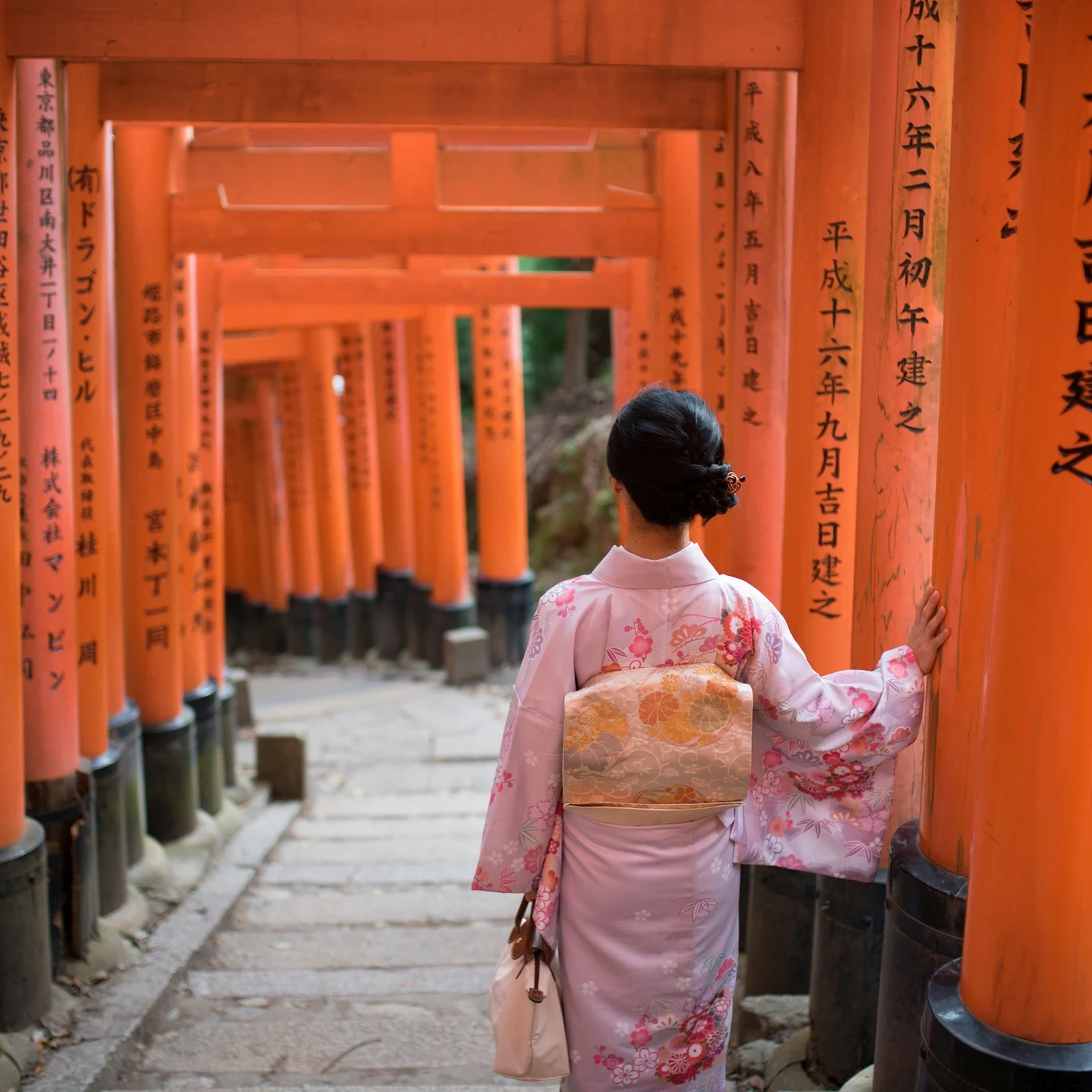Excursion à Nara, Arashiyama et Fushimi Inari depuis Kyoto ou Osaka