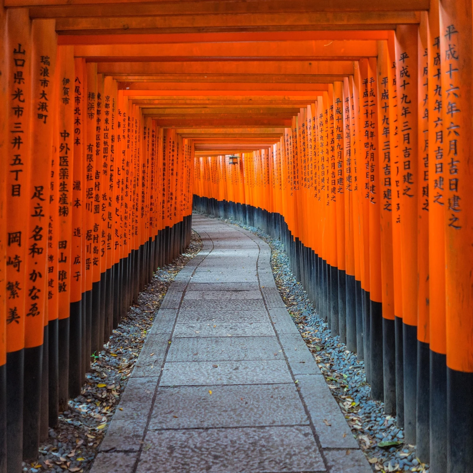 Tagesausflug nach Nara, Arashiyama und Fushimi Inari ab Kyoto oder Osaka