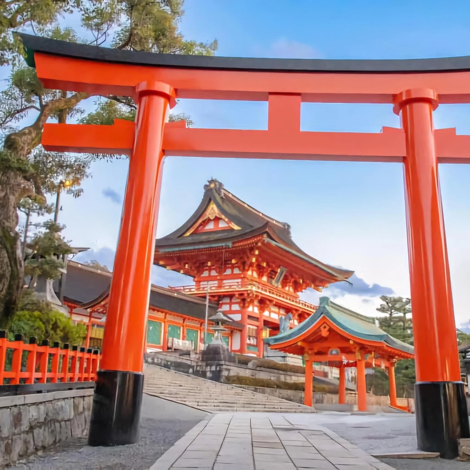 Private Nara Day Trip from Osaka or Kyoto