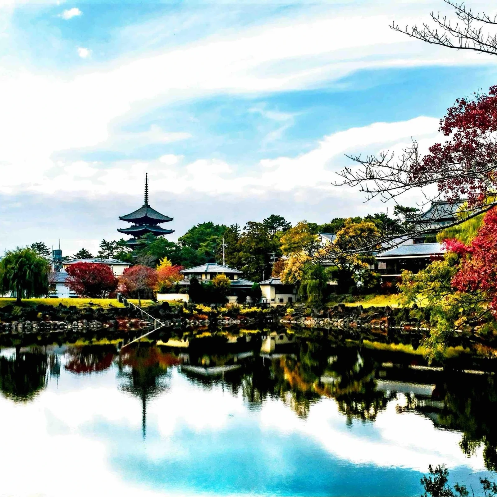 Private Nara-Tagestour ab Osaka oder Kyoto