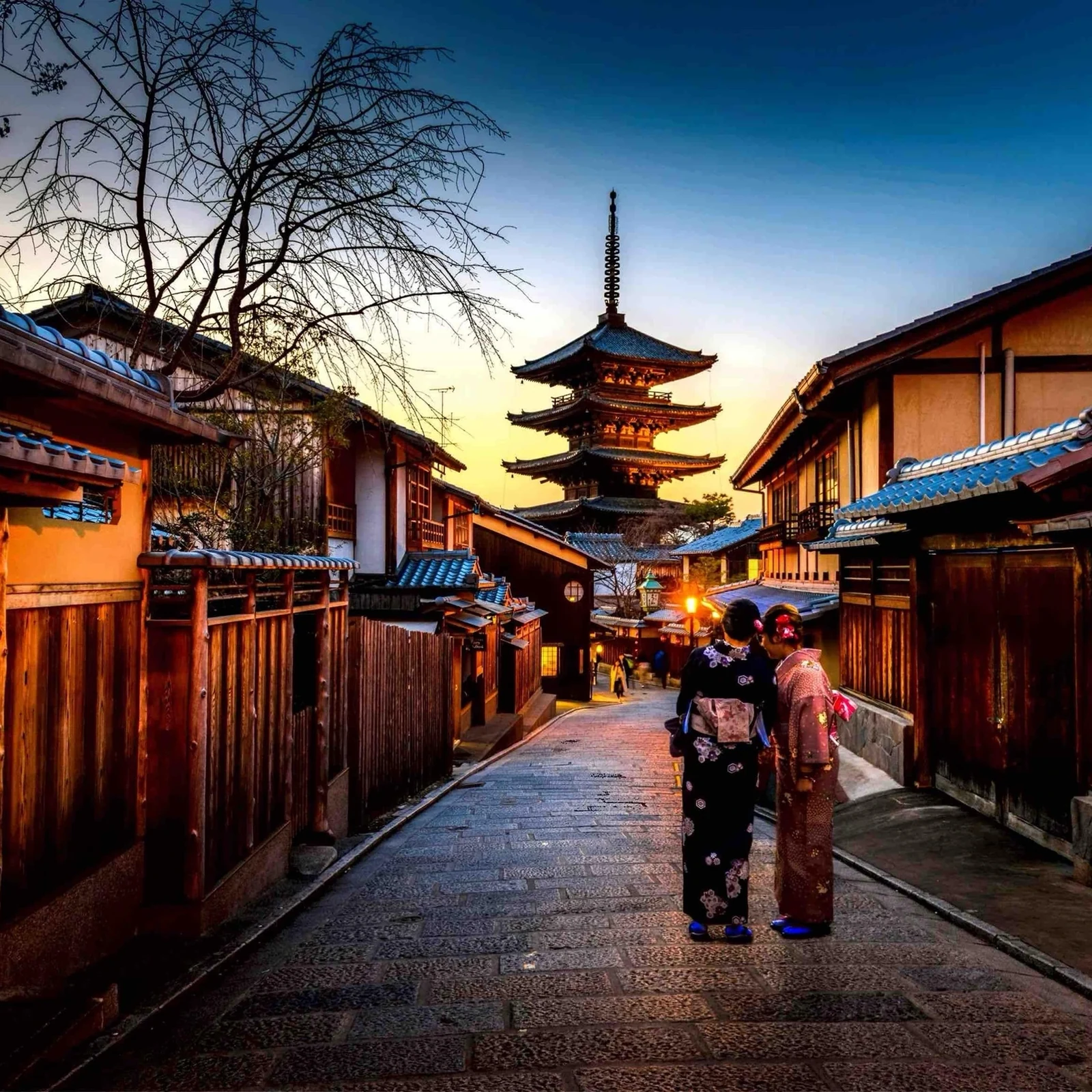 Private Nara-Tagestour ab Osaka oder Kyoto