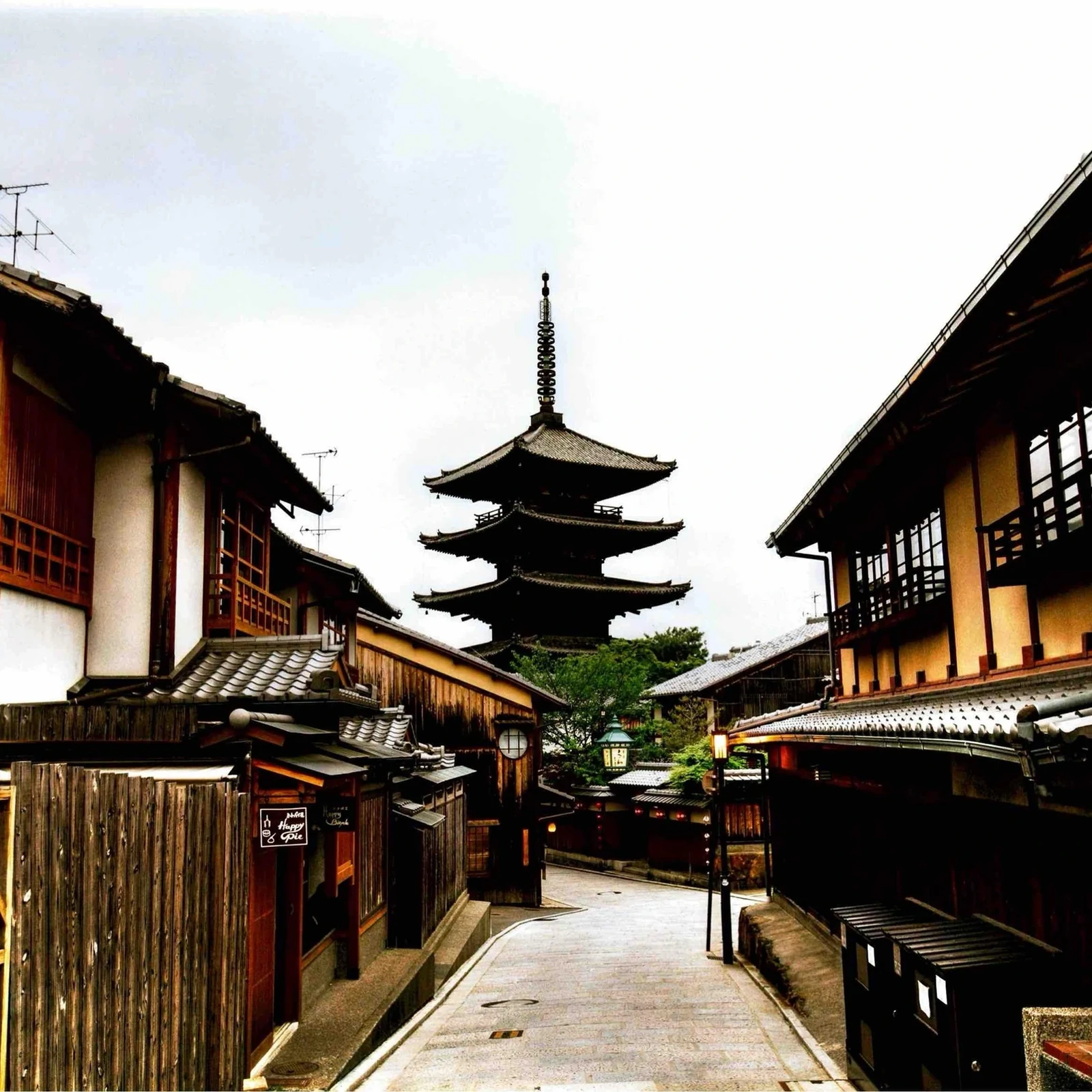 Private Nara-Tagestour ab Osaka oder Kyoto
