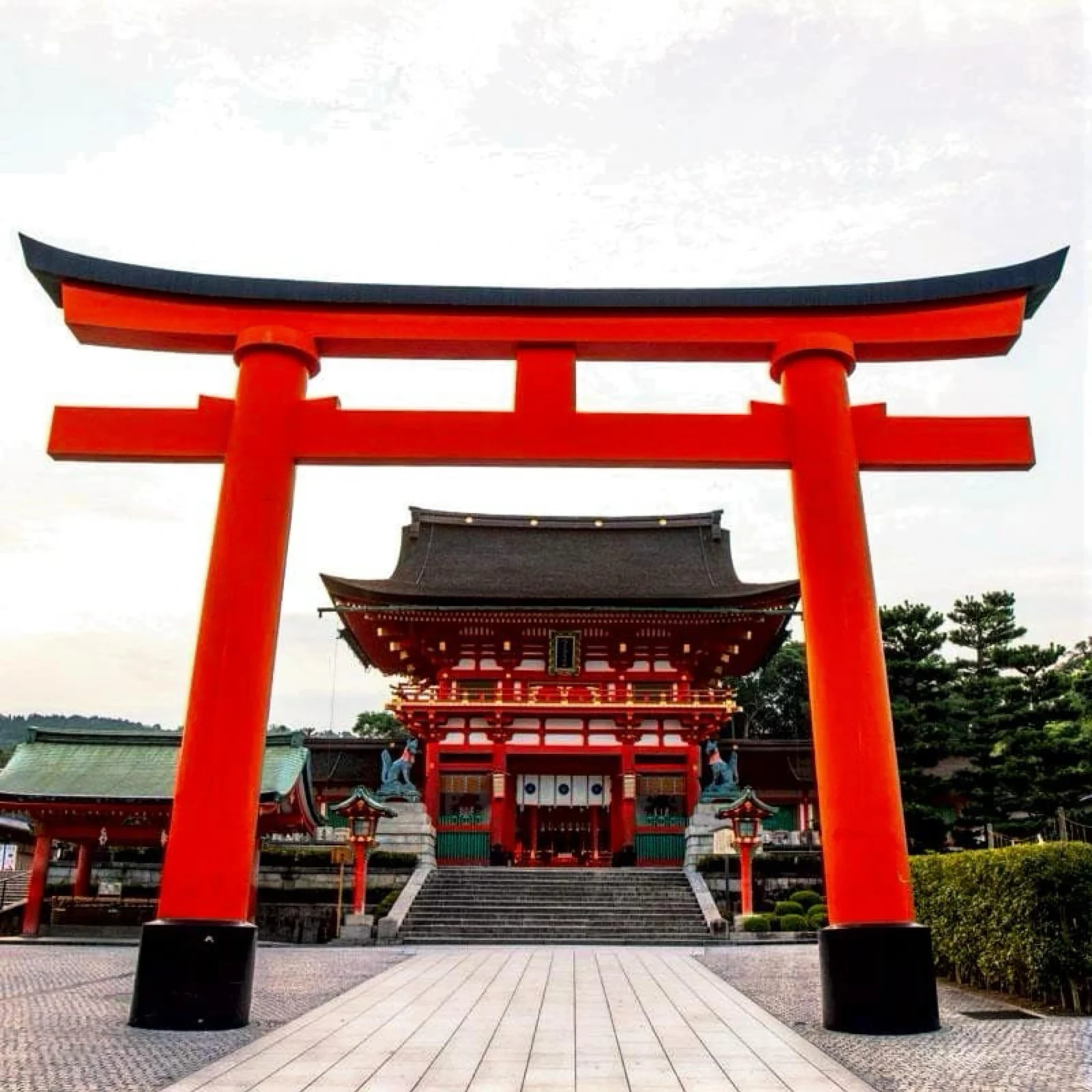 Excursion privée Kyoto Nara en une journée, à votre rythme
