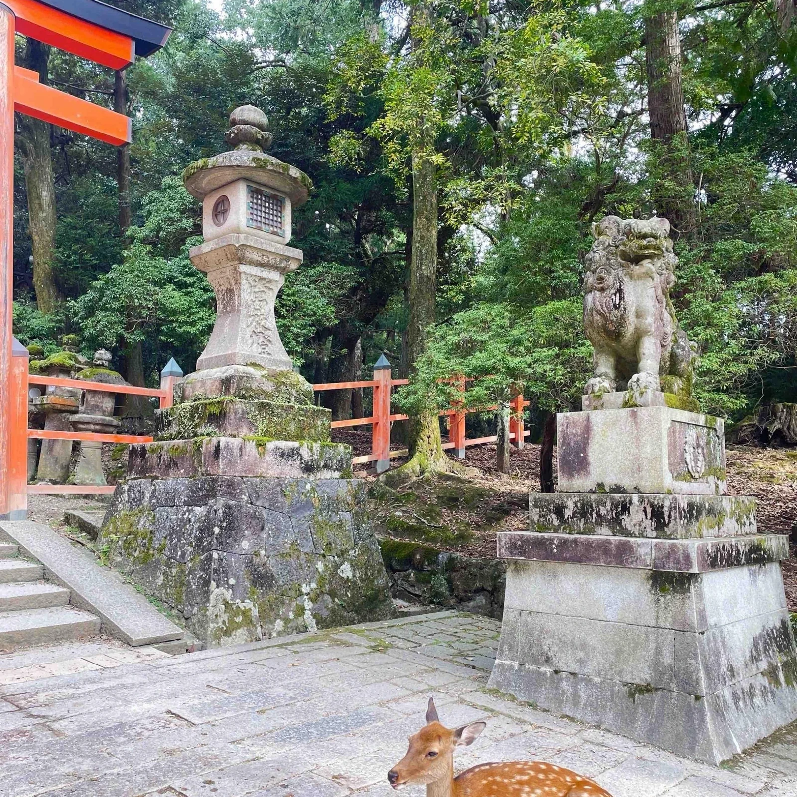 Excursion privée Kyoto Nara en une journée, à votre rythme