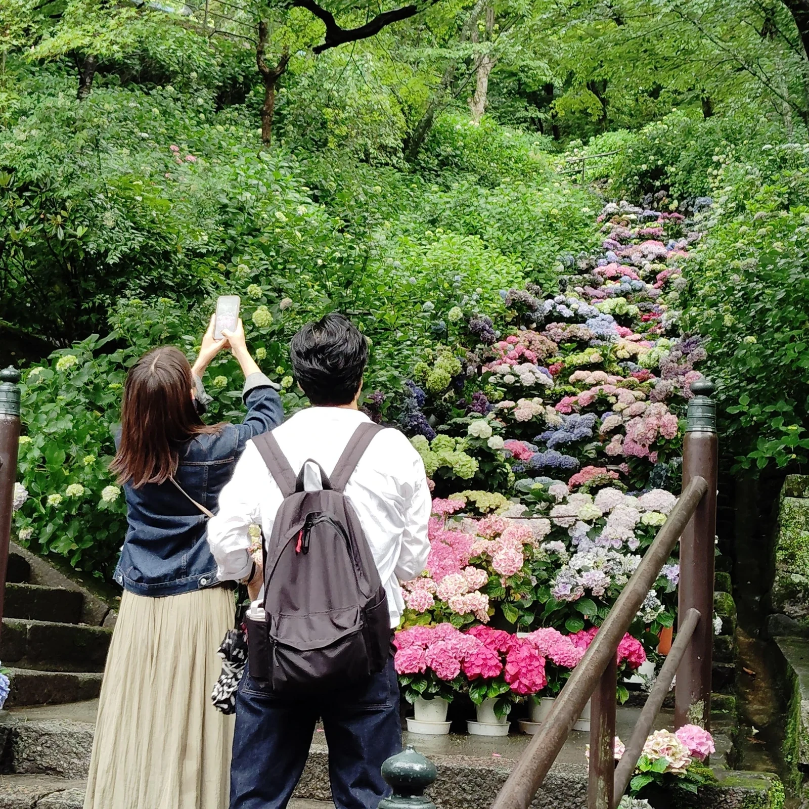 Visite privée de Hasedera à Nara