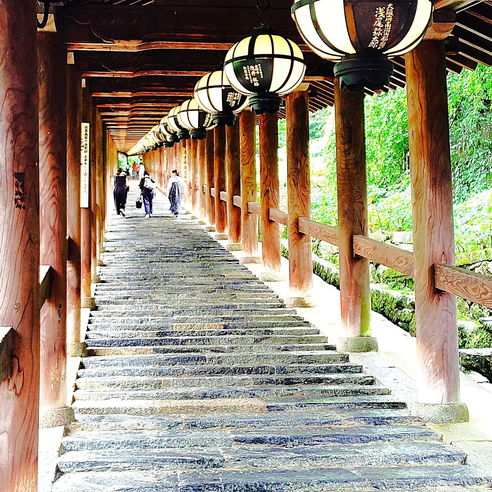 Visite privée de Hasedera à Nara