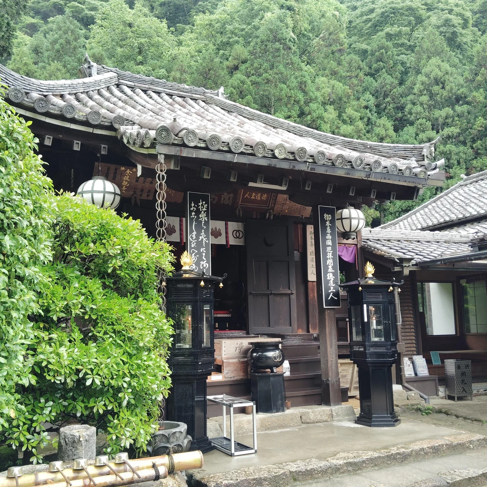 Visite privée de Hasedera à Nara