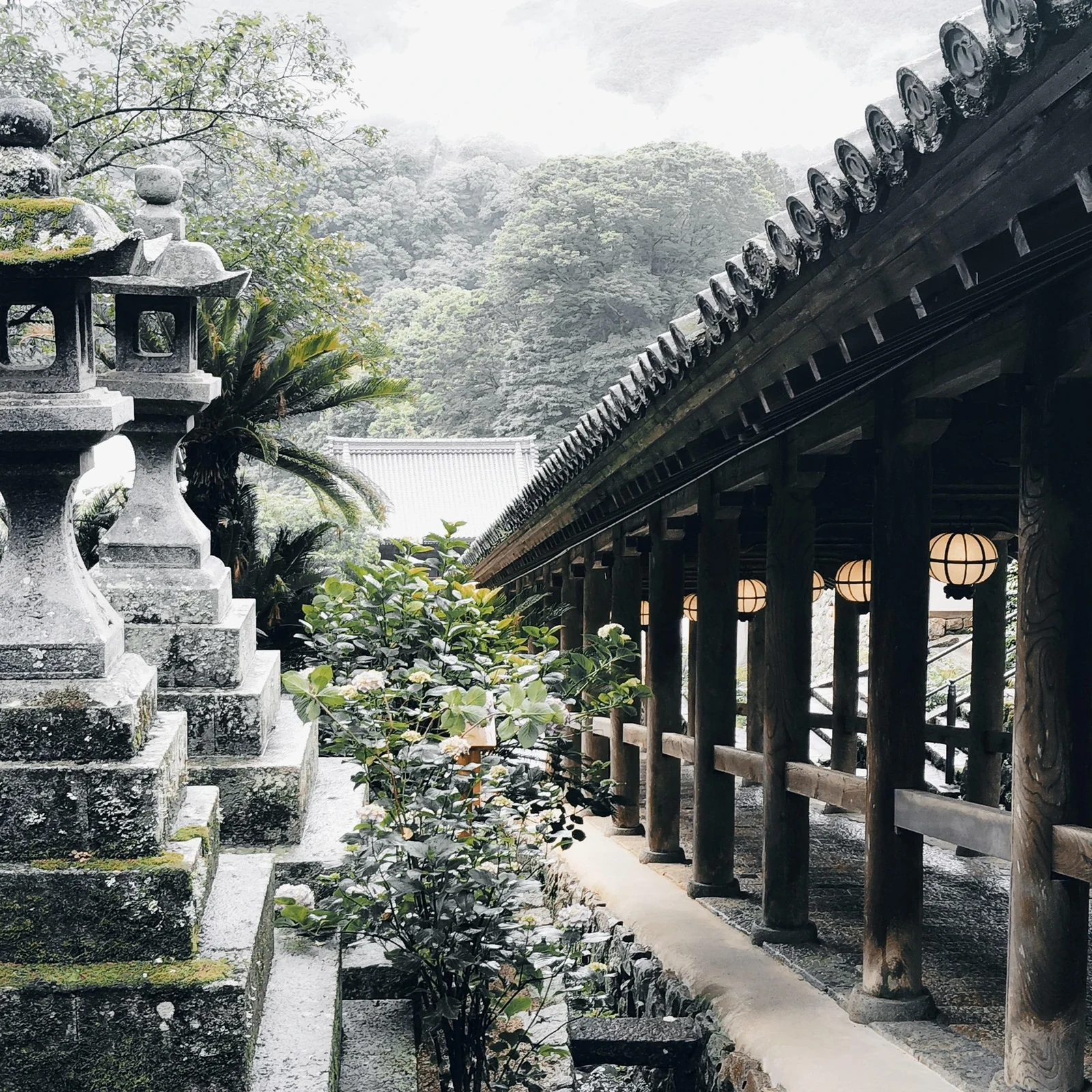 Visite privée de Hasedera à Nara