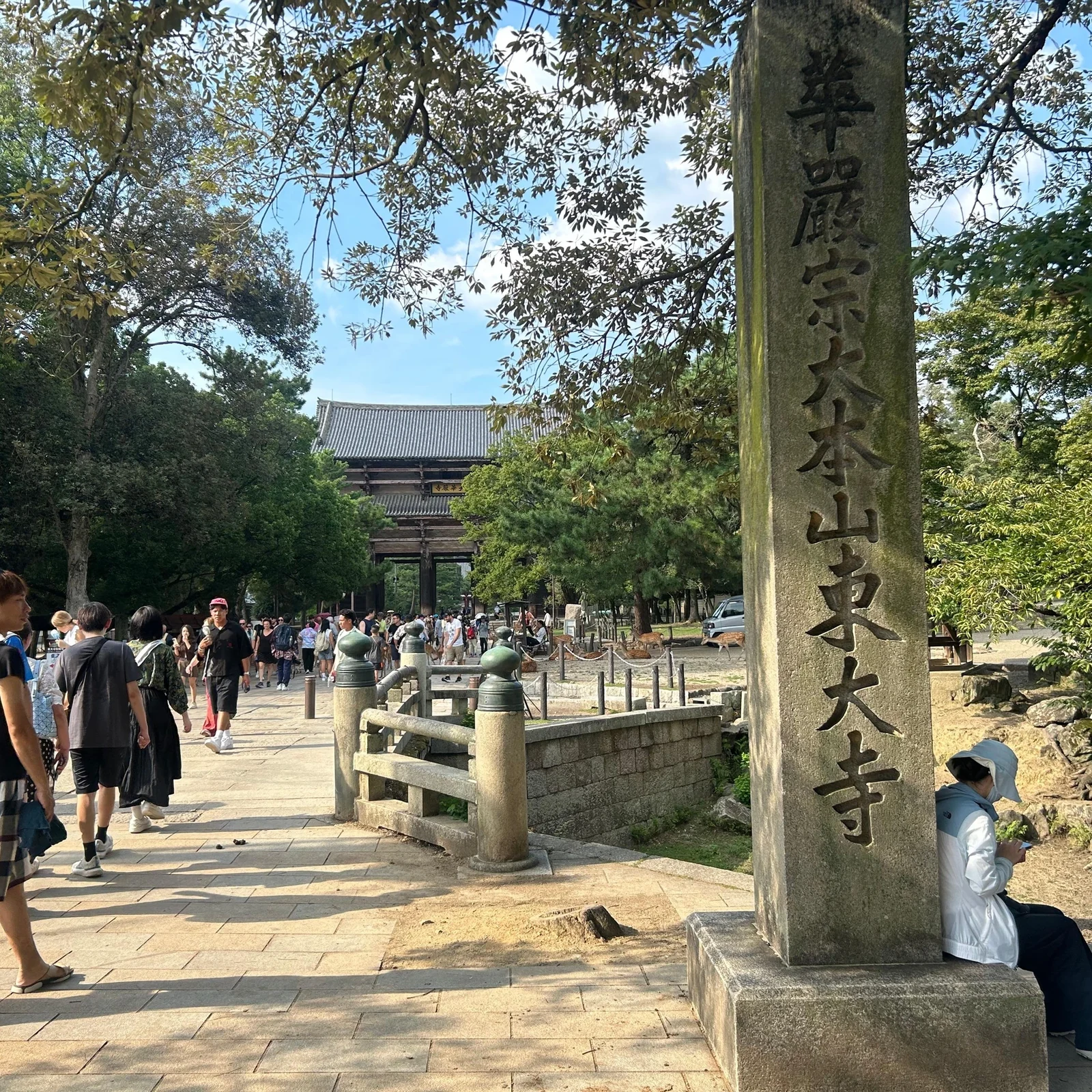 Nara Tour mit Hirschen und Großem Buddha in 4 Stunden