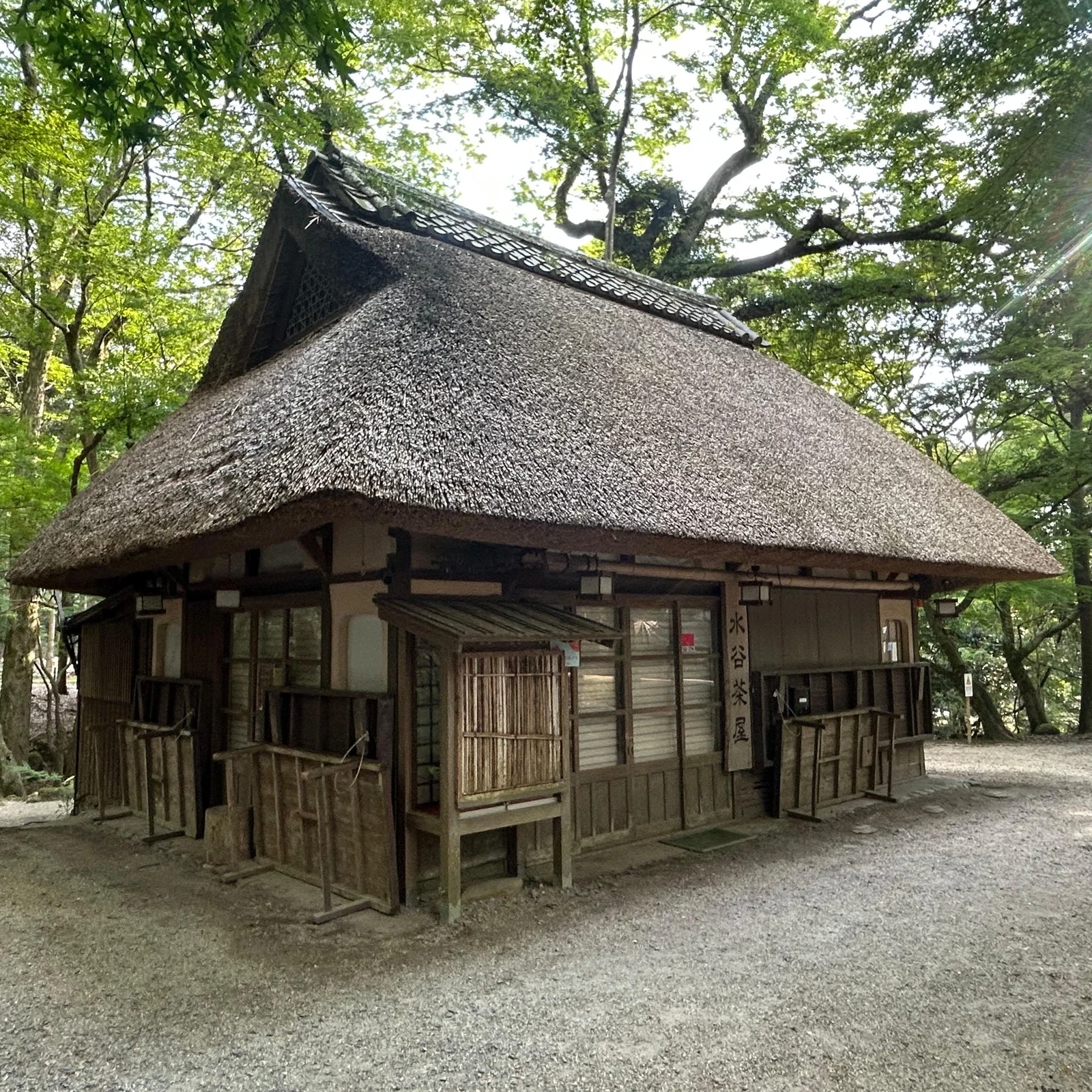 Visite de Nara avec daims et Grand Bouddha en 4 heures