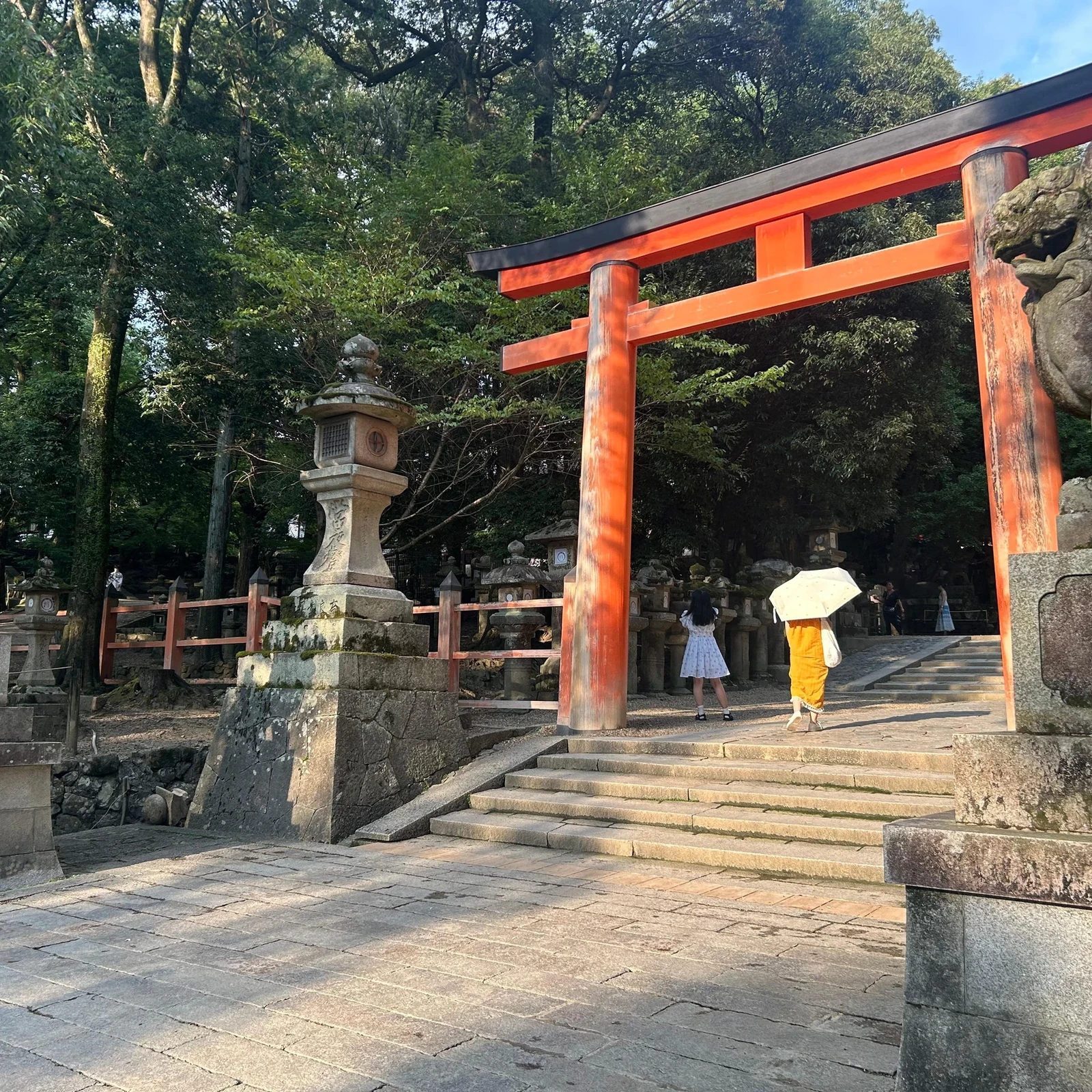 Visite de Nara avec daims et Grand Bouddha en 4 heures