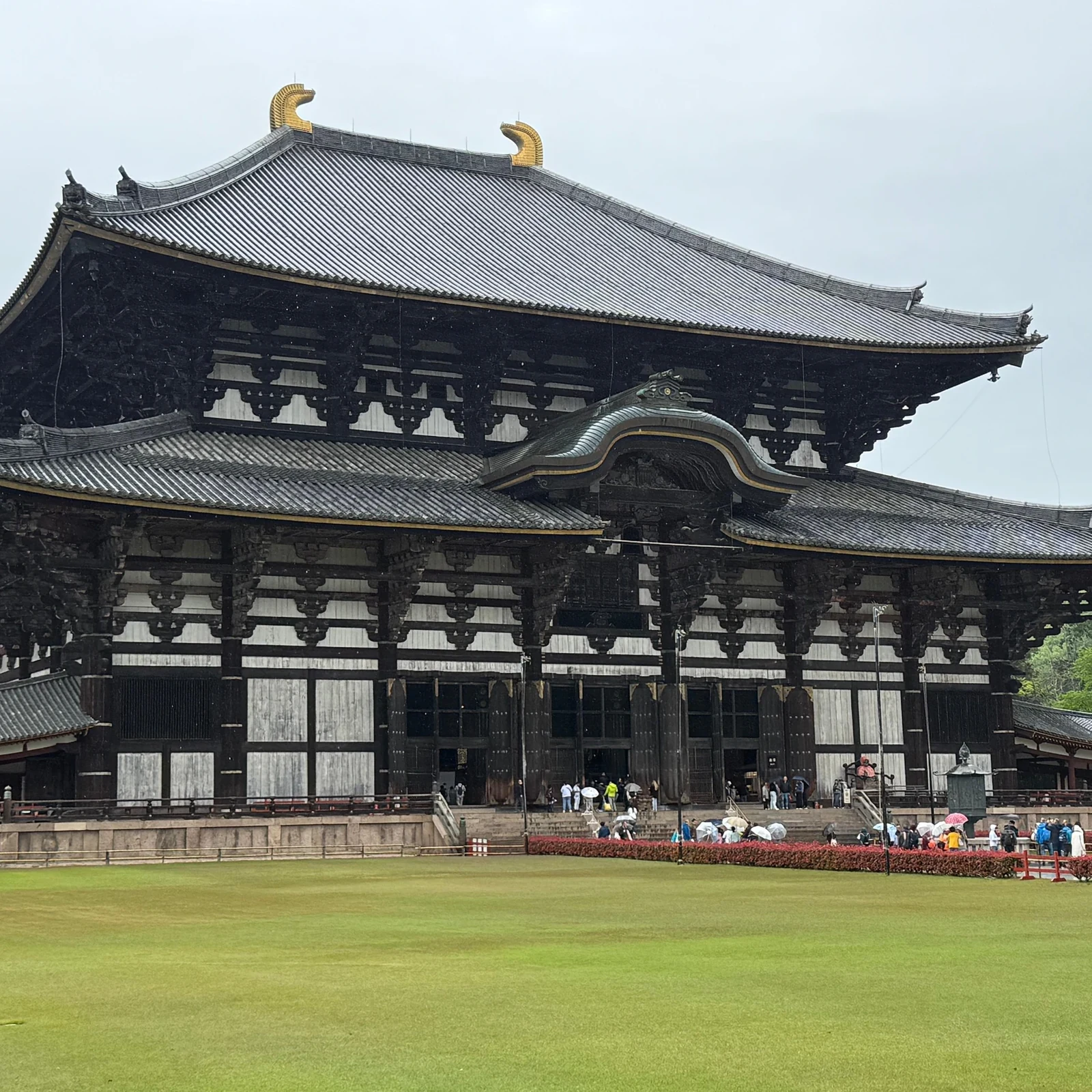 Excursión a Nara desde Kioto en una mañana