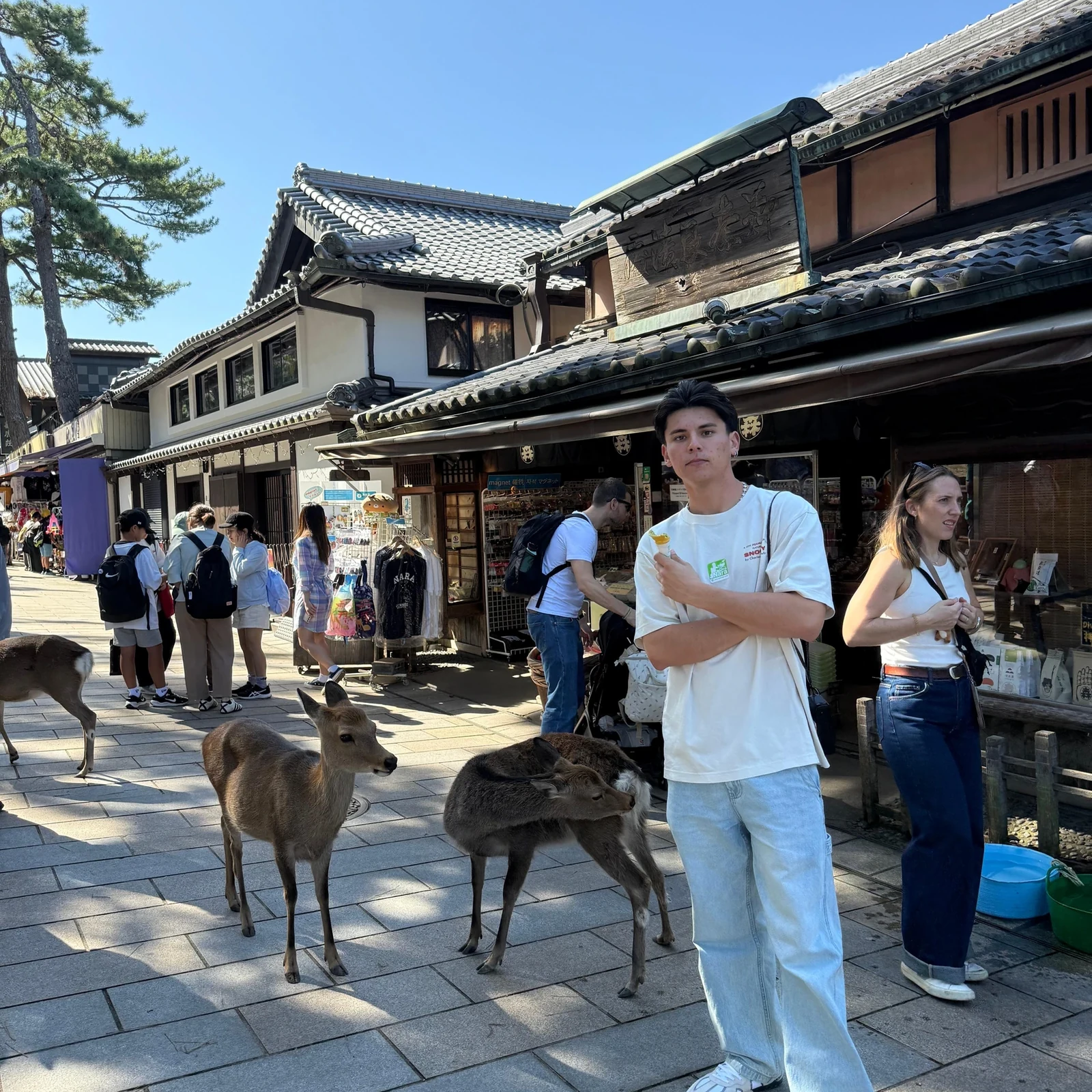 Excursión a Nara desde Kioto en una mañana