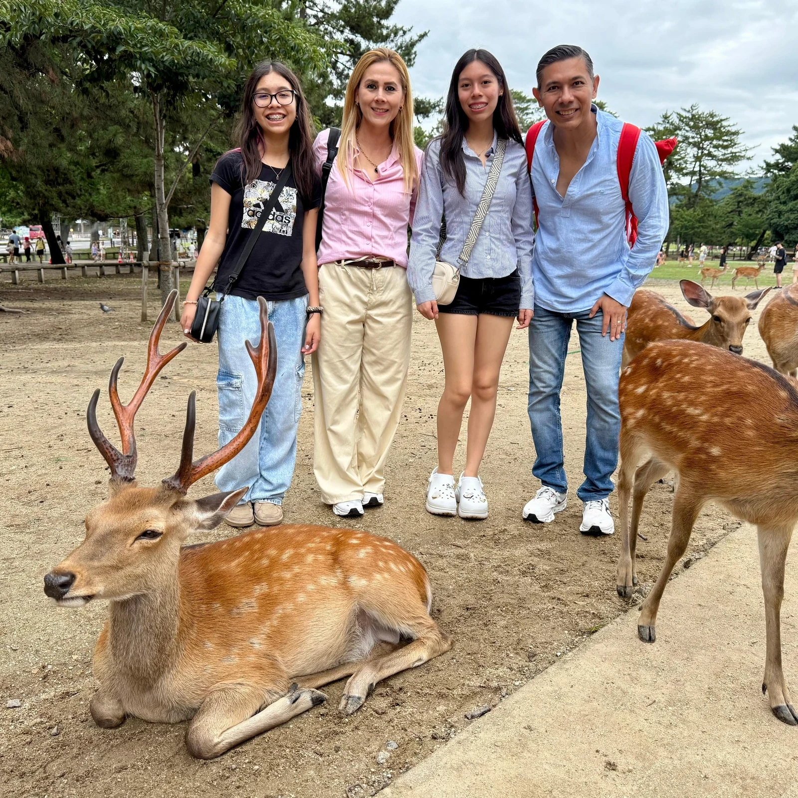 Private Nara Tour from Osaka with a Guide, Deer and the Great Buddha