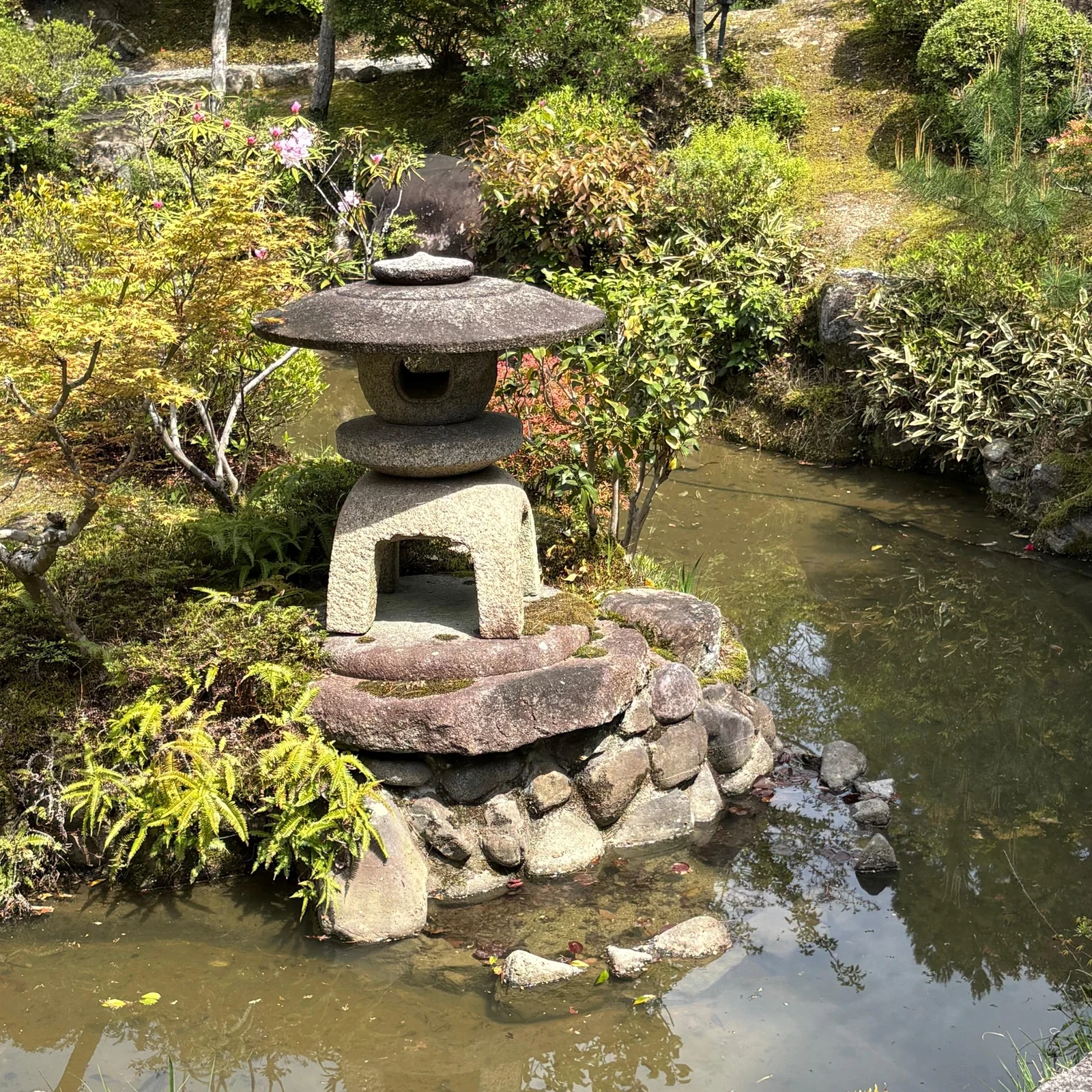 Tour privado de Nara desde Osaka con guía, ciervos y Gran Buda
