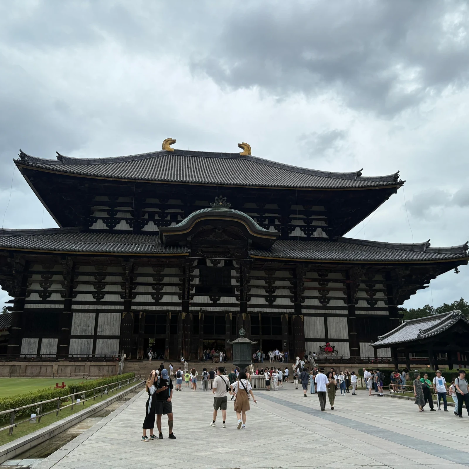 Tour privado de Nara desde Osaka con guía, ciervos y Gran Buda