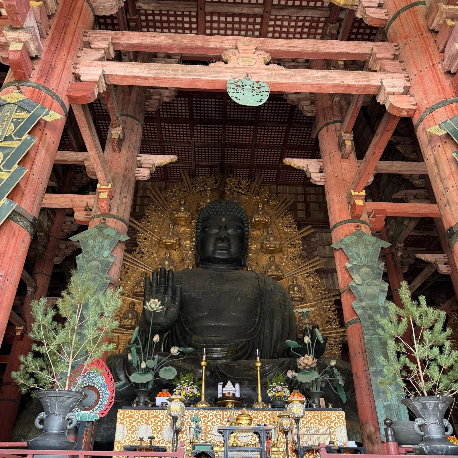 Excursión desde Osaka a Nara y Uji en un día