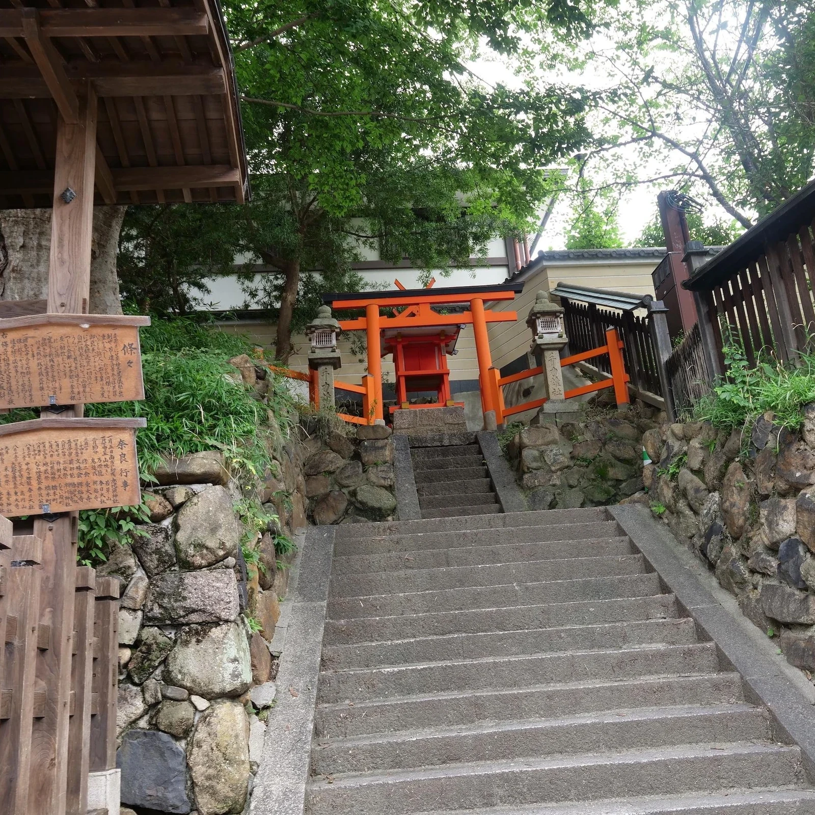 Tour a pie por Nara UNESCO: Gran Buda, Tōdai-ji y Kasuga Taisha