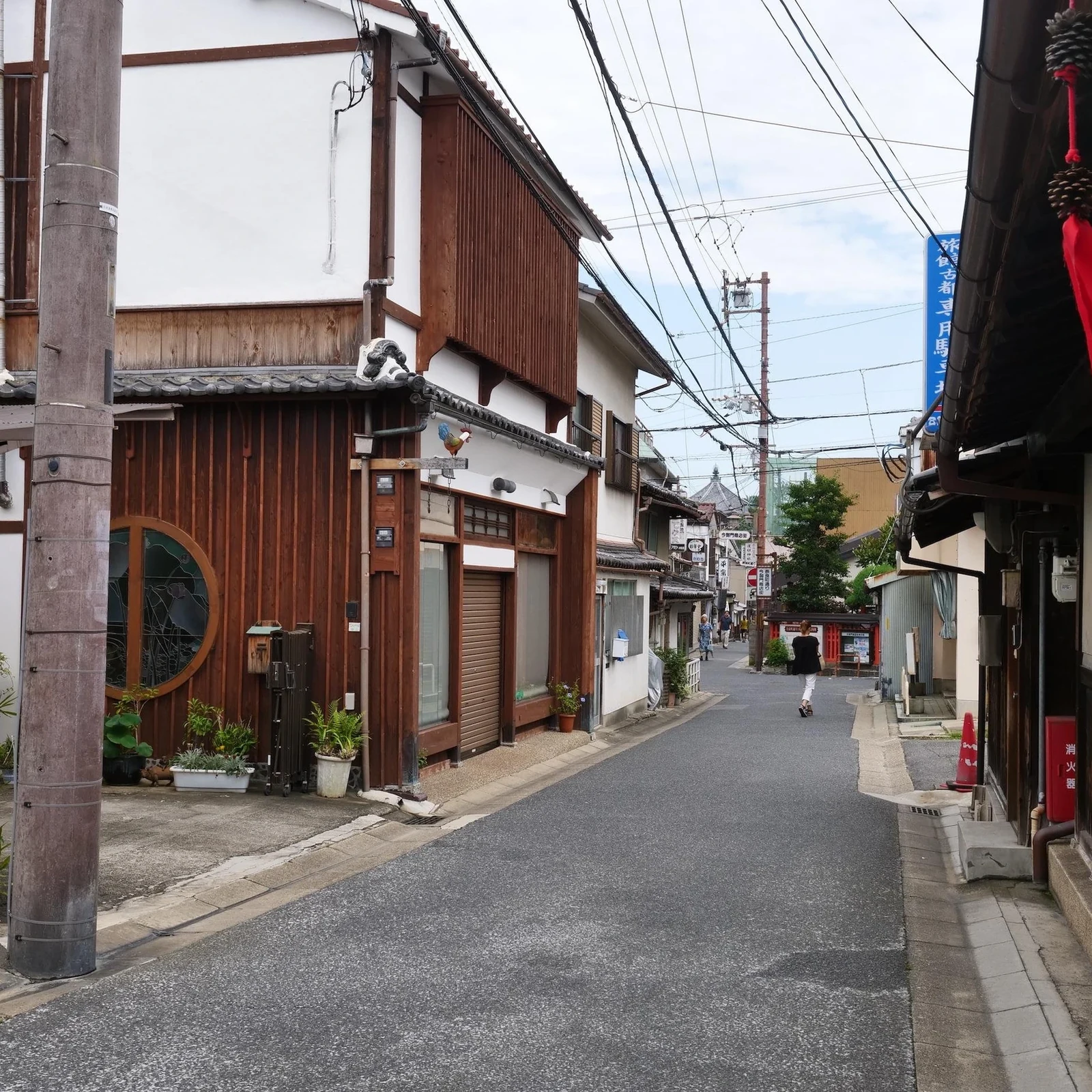 Tour a pie por Nara UNESCO: Gran Buda, Tōdai-ji y Kasuga Taisha