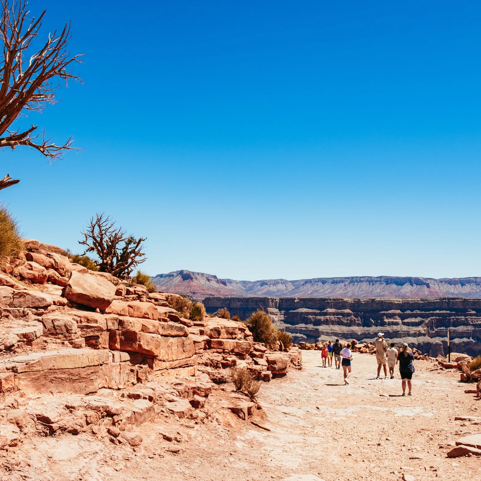 Grand Canyon West Tour from Las Vegas and Hoover Dam