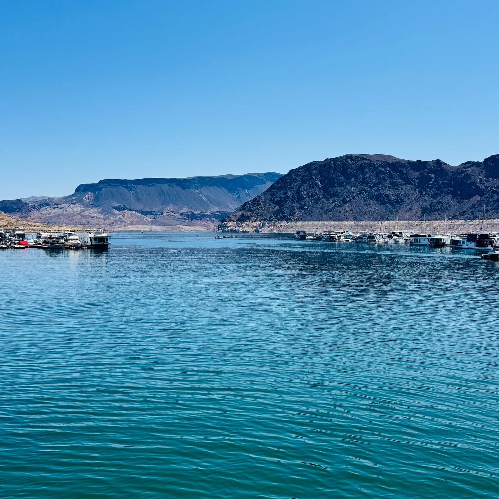 Croisière sur le lac Mead au barrage Hoover : 90 minutes à bord du Desert Princess