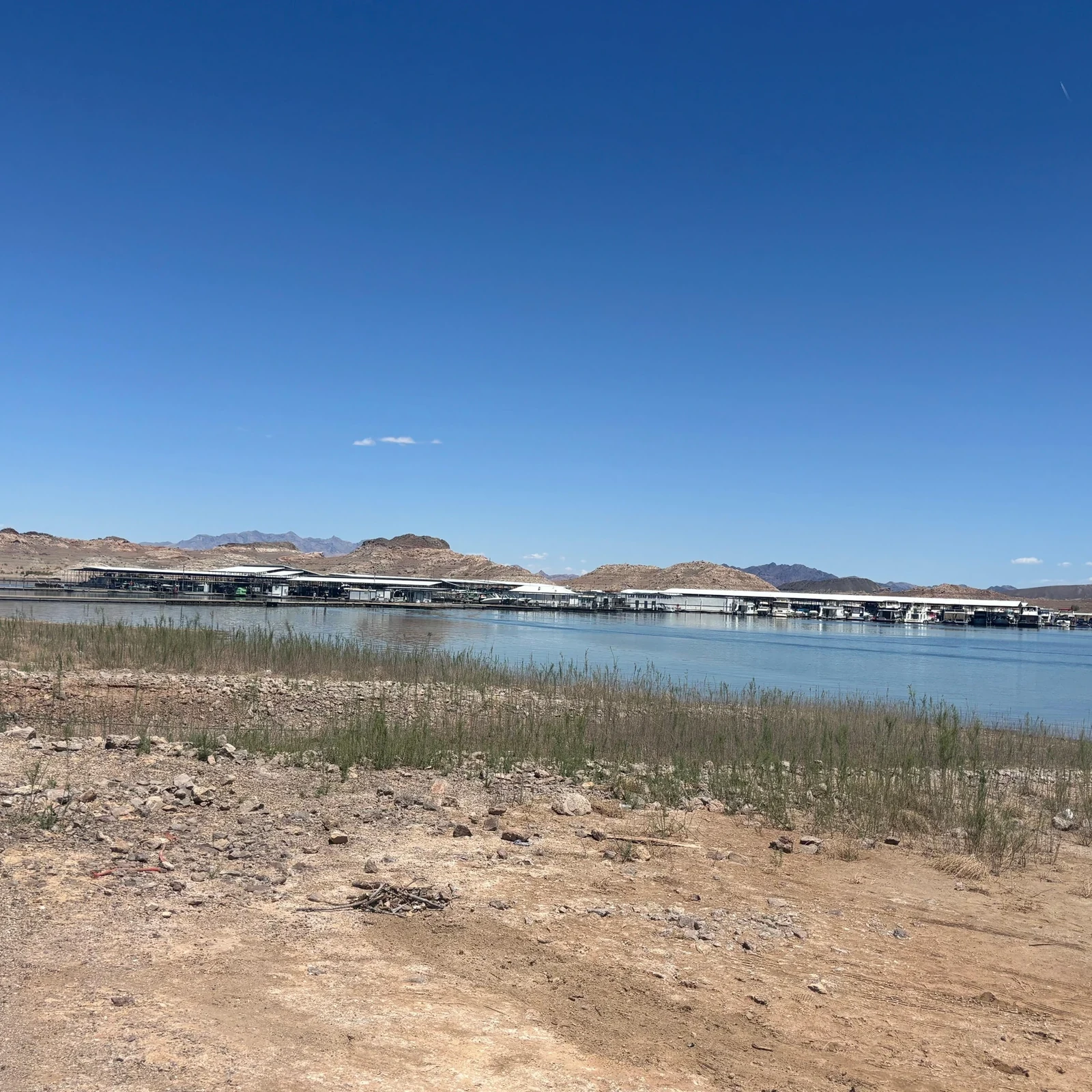 Croisière sur le lac Mead au barrage Hoover : 90 minutes à bord du Desert Princess