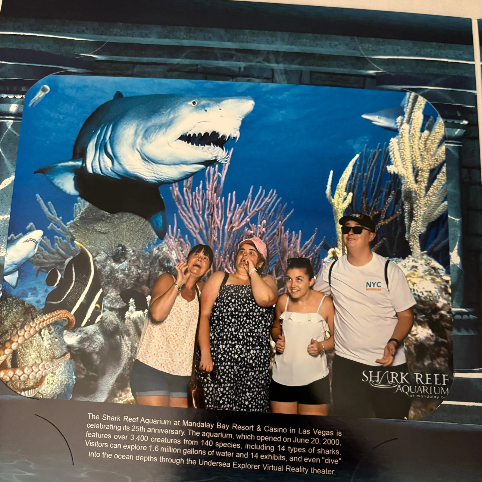 Shark Reef Aquarium Las Vegas : requins, tunnel sous-marin et VR
