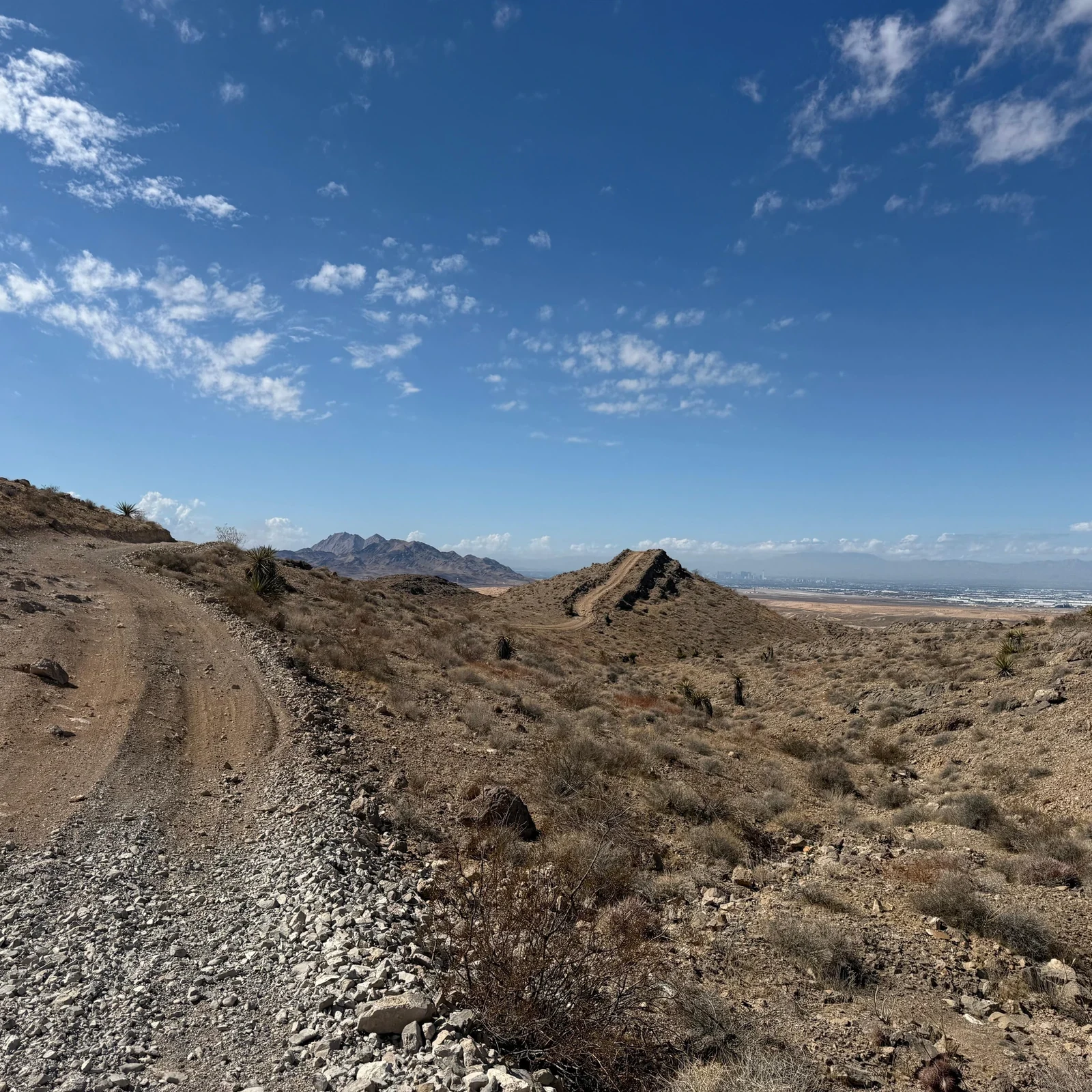 Location de quad et UTV à Las Vegas pour explorer le désert en autonomie