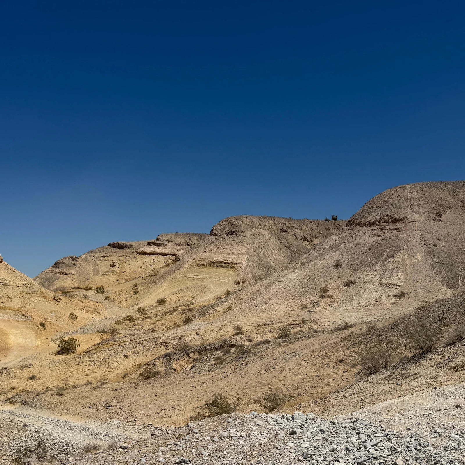 Location de quad et UTV à Las Vegas pour explorer le désert en autonomie