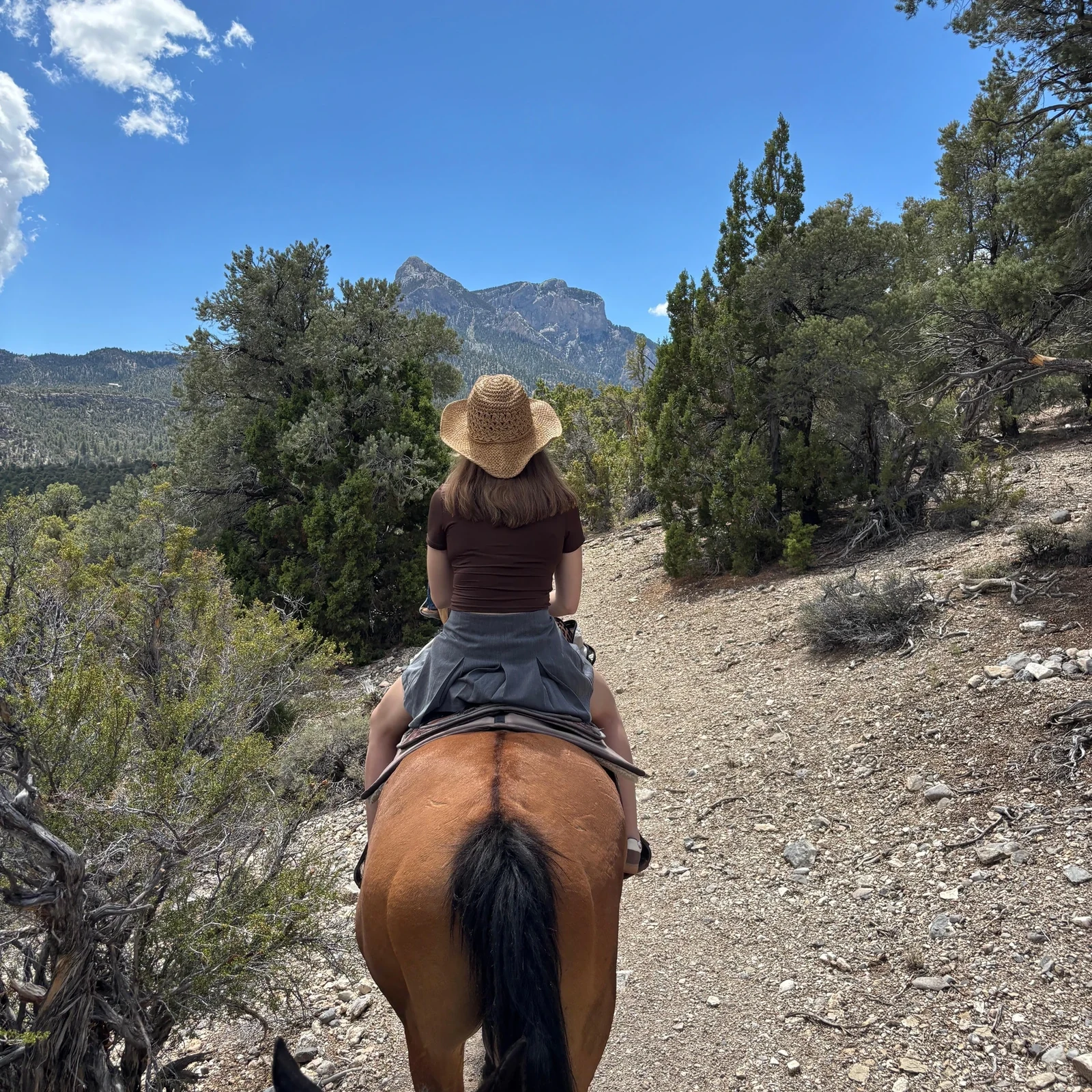 Paseo a caballo en Las Vegas por Rainbow Gardens y el desierto de Nevada