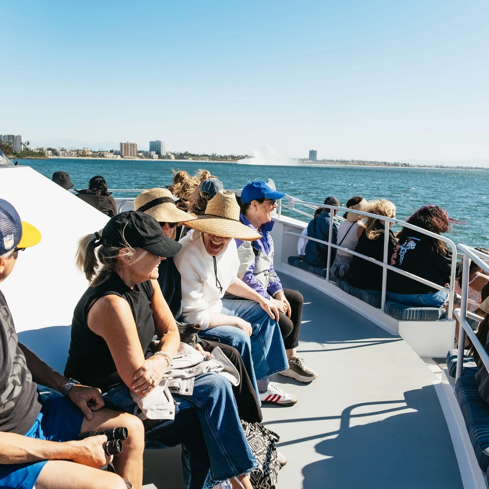 Wal- und Delfinbeobachtung in Long Beach mit Naturkundlern