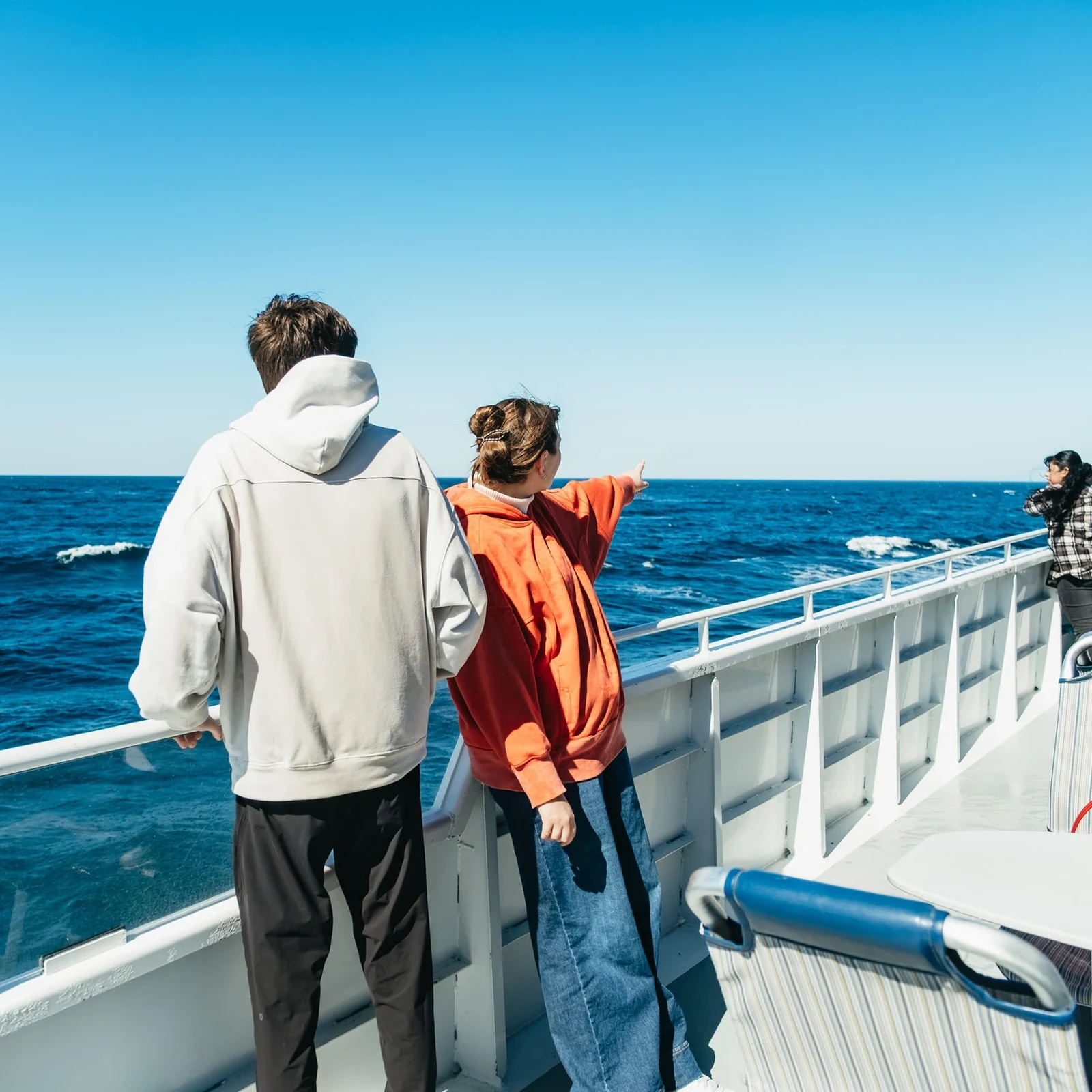 Observation des baleines et des dauphins à Long Beach avec naturalistes