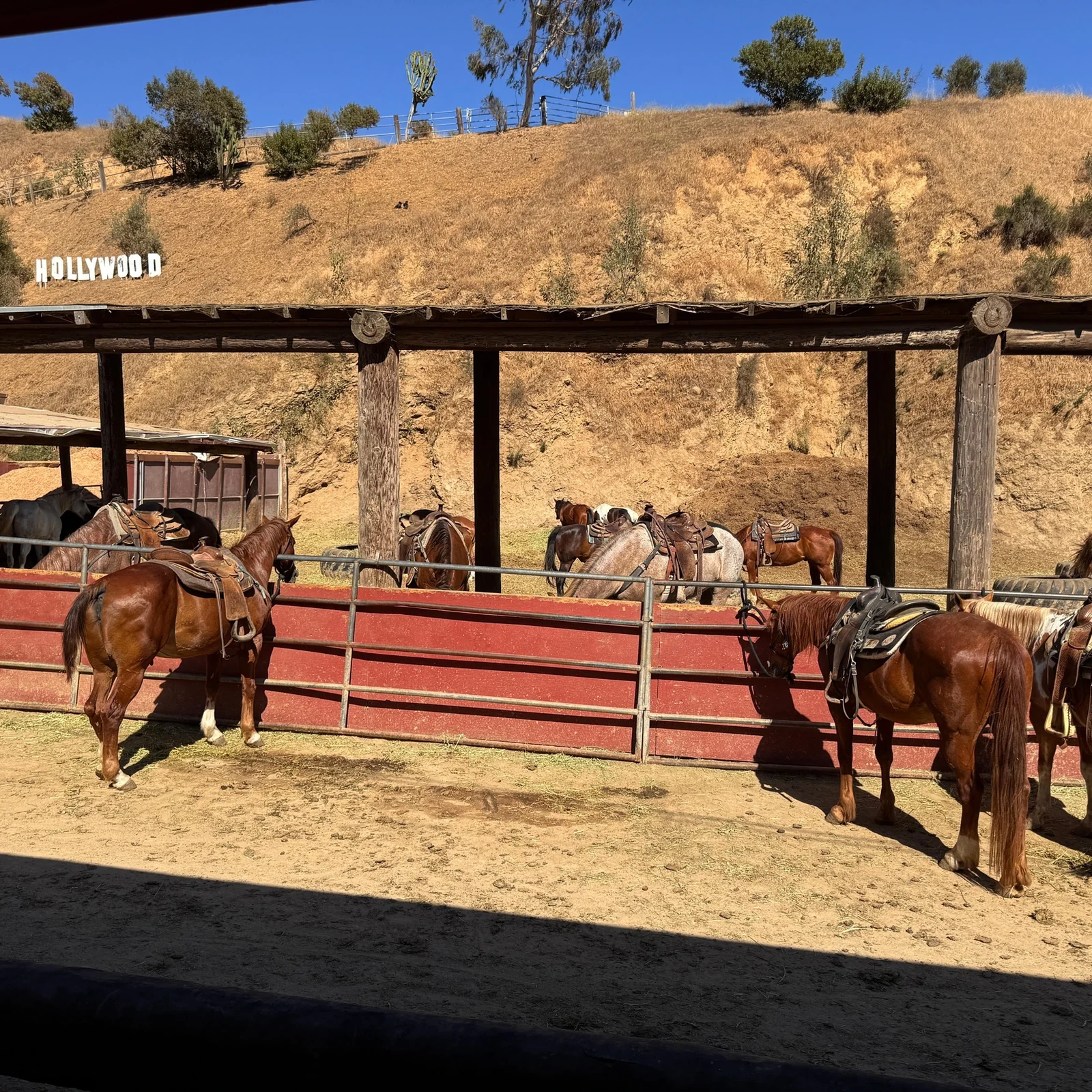 Tour a caballo por Hollywood desde Griffith Park