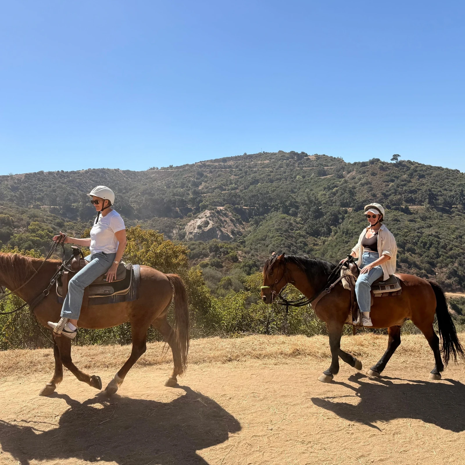 Balade à cheval Hollywood Los Angeles dans Griffith Park