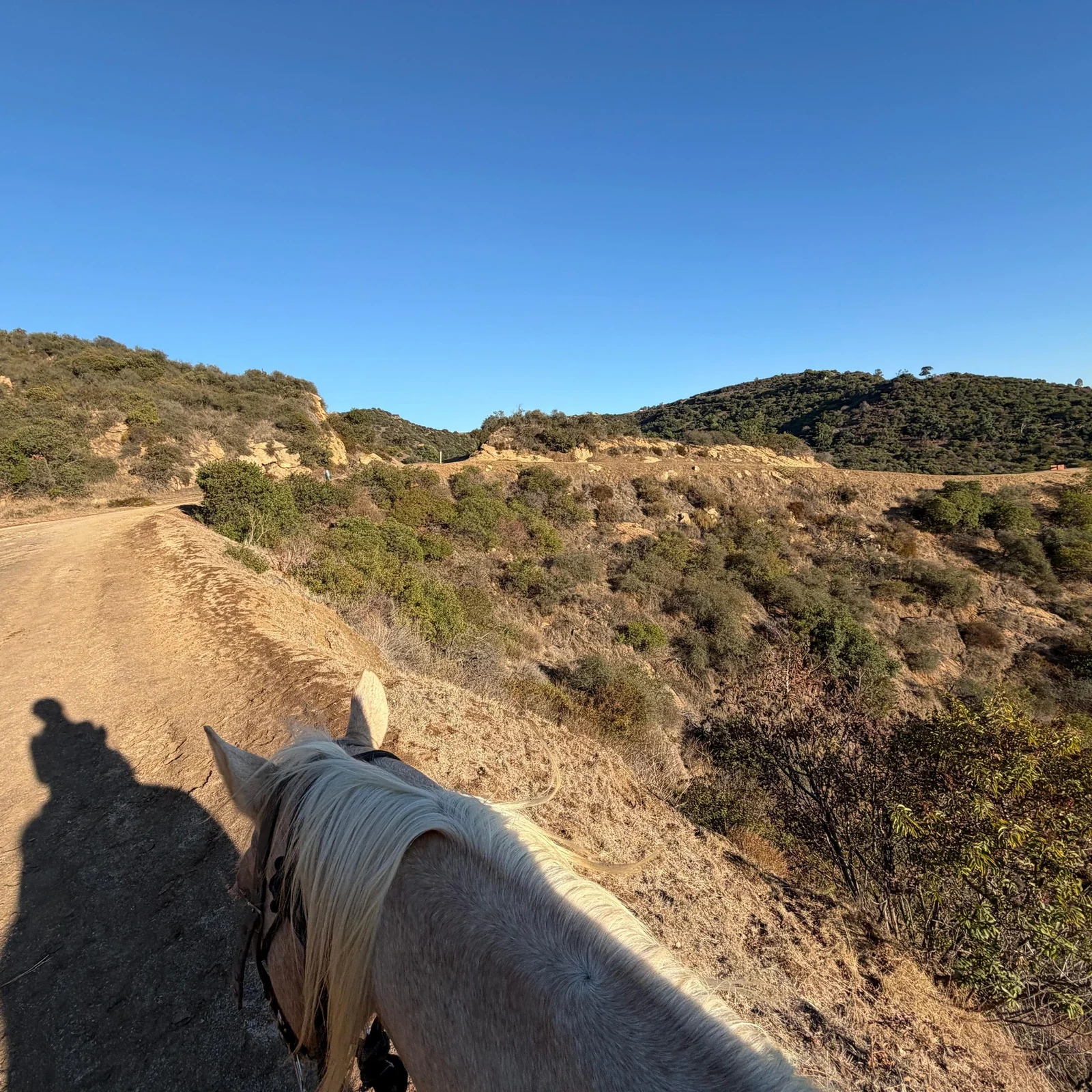 Balade à cheval Hollywood Los Angeles dans Griffith Park