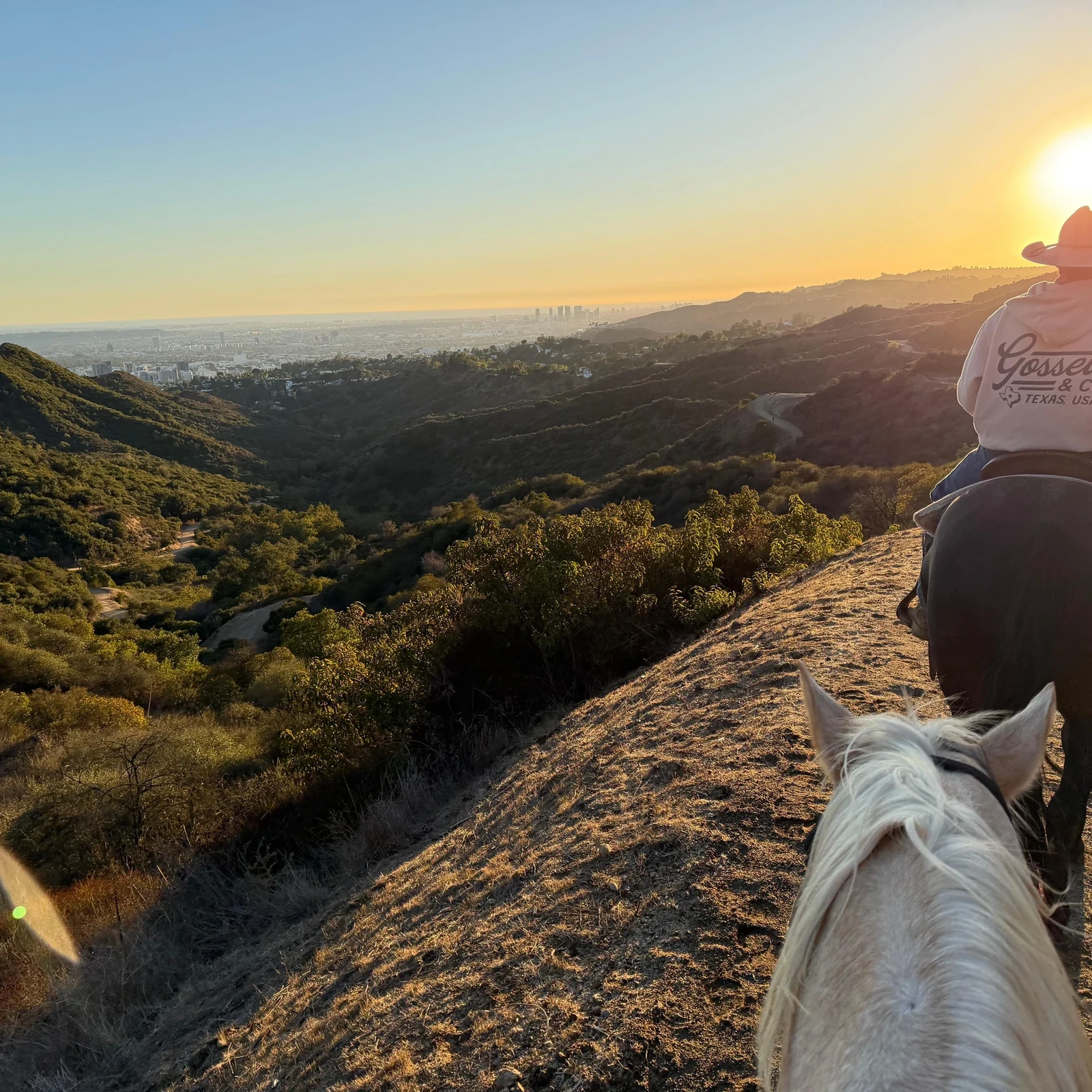 Balade à cheval Hollywood Los Angeles dans Griffith Park