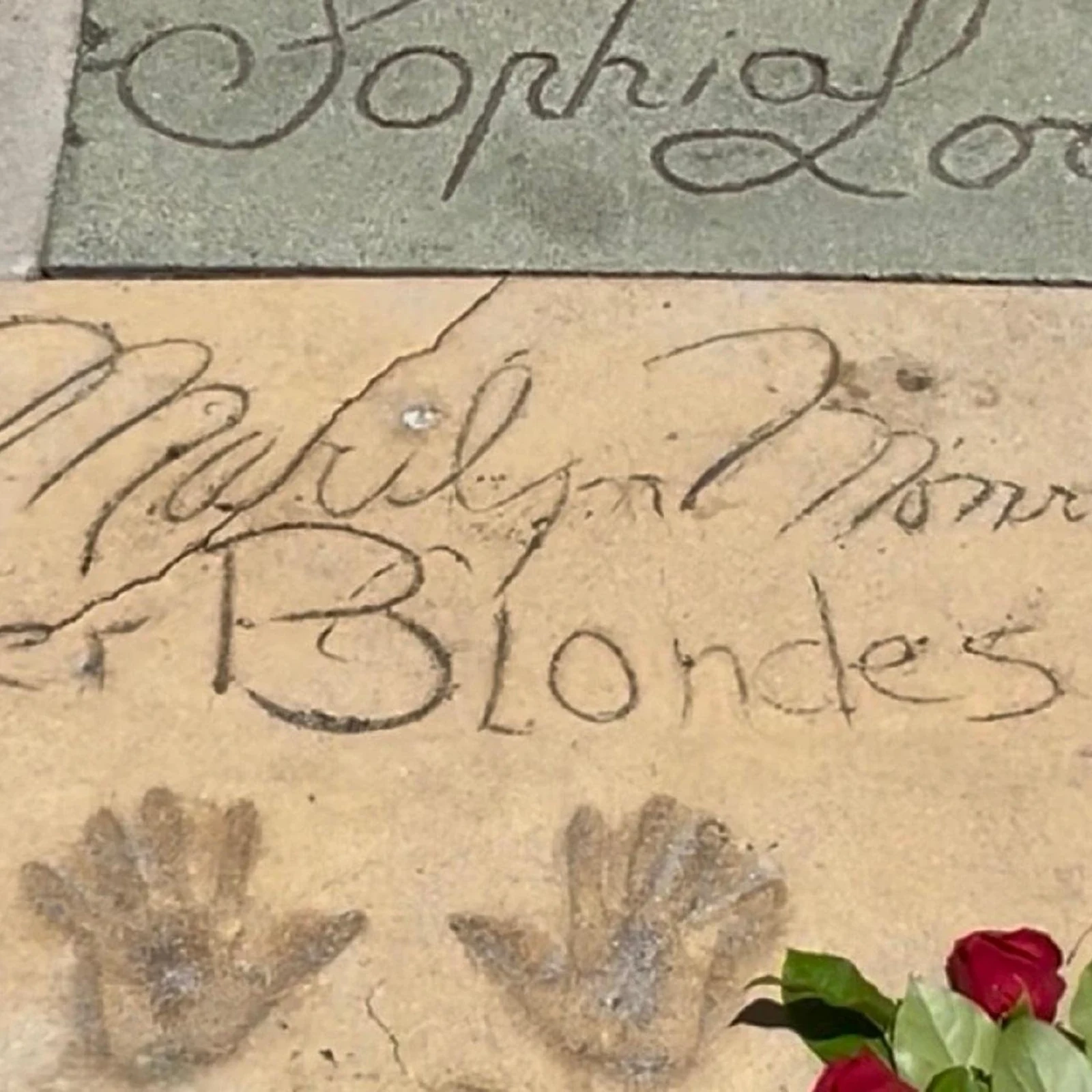 Los Angeles and Hollywood Tour from Long Beach