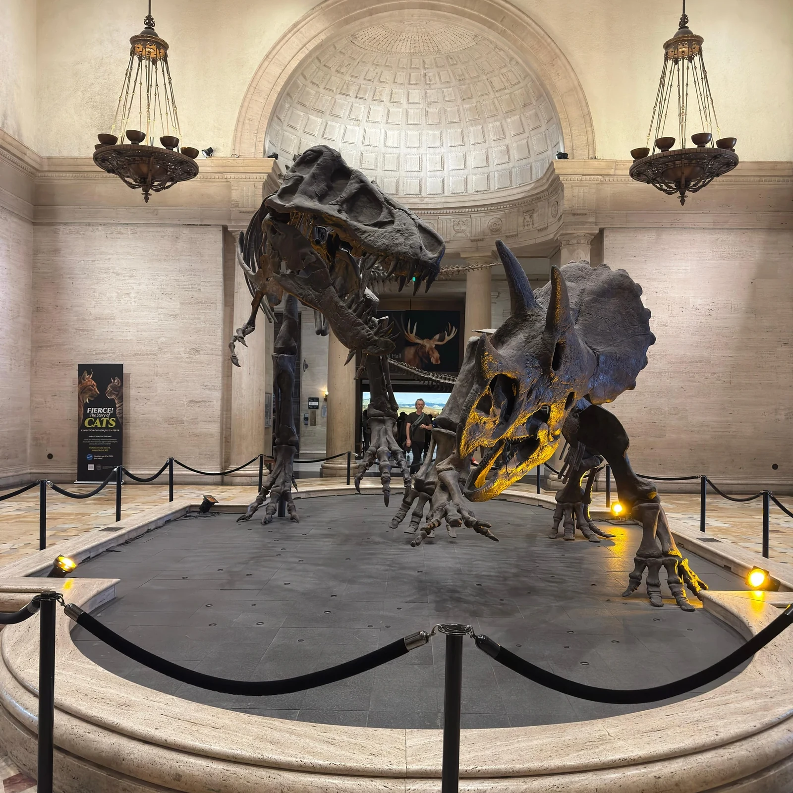 Natural History Museum of Los Angeles Tickets: Dinosaurs, Gems and a Self-Paced Visit