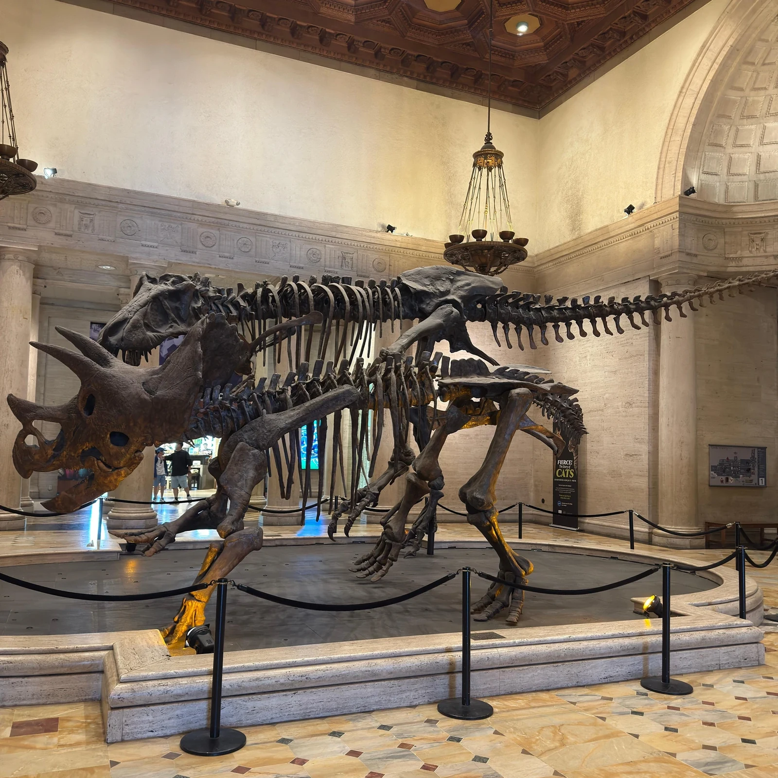 Natural History Museum of Los Angeles Tickets: Dinosaurs, Gems and a Self-Paced Visit