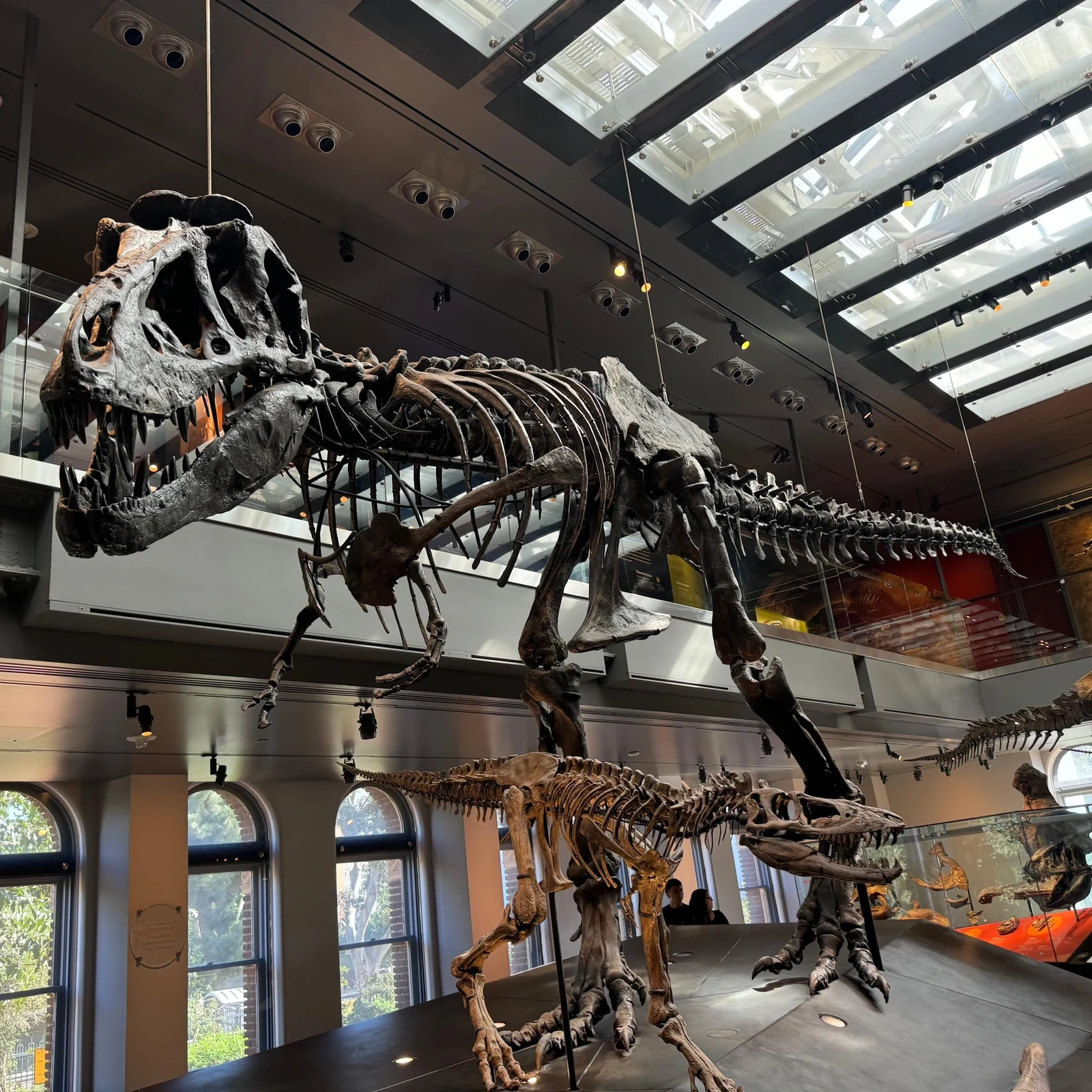 Natural History Museum of Los Angeles Tickets: Dinosaurs, Gems and a Self-Paced Visit