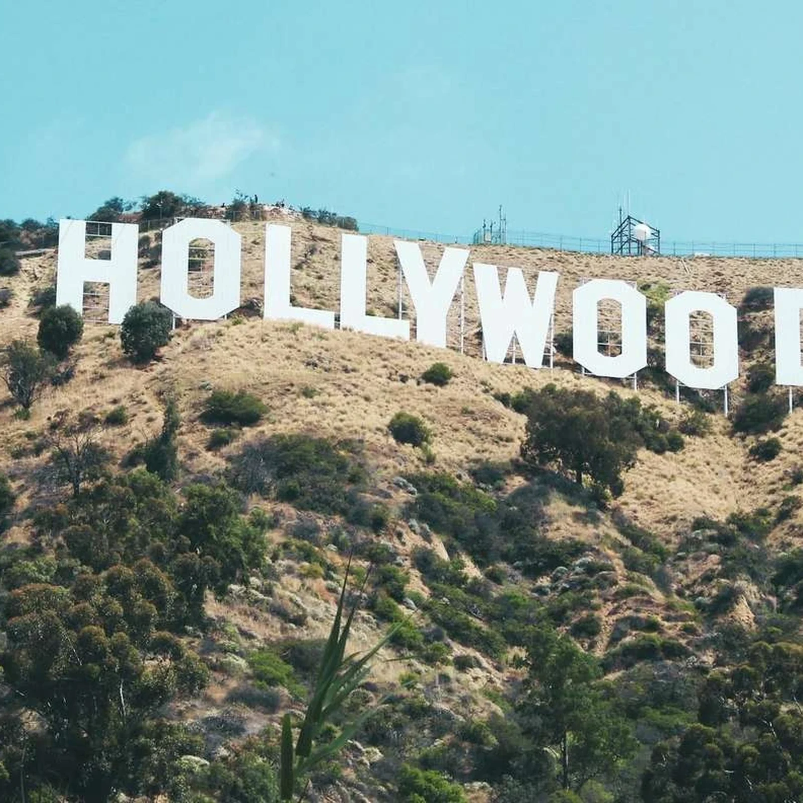 Hollywood-Tour im SUV: Los Angeles’ Highlights in 4 Stunden