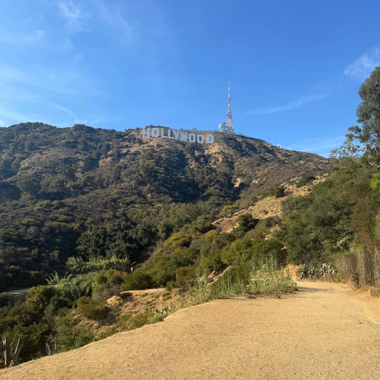 Visite du Hollywood Sign à Los Angeles : vues et photos en 90 minutes