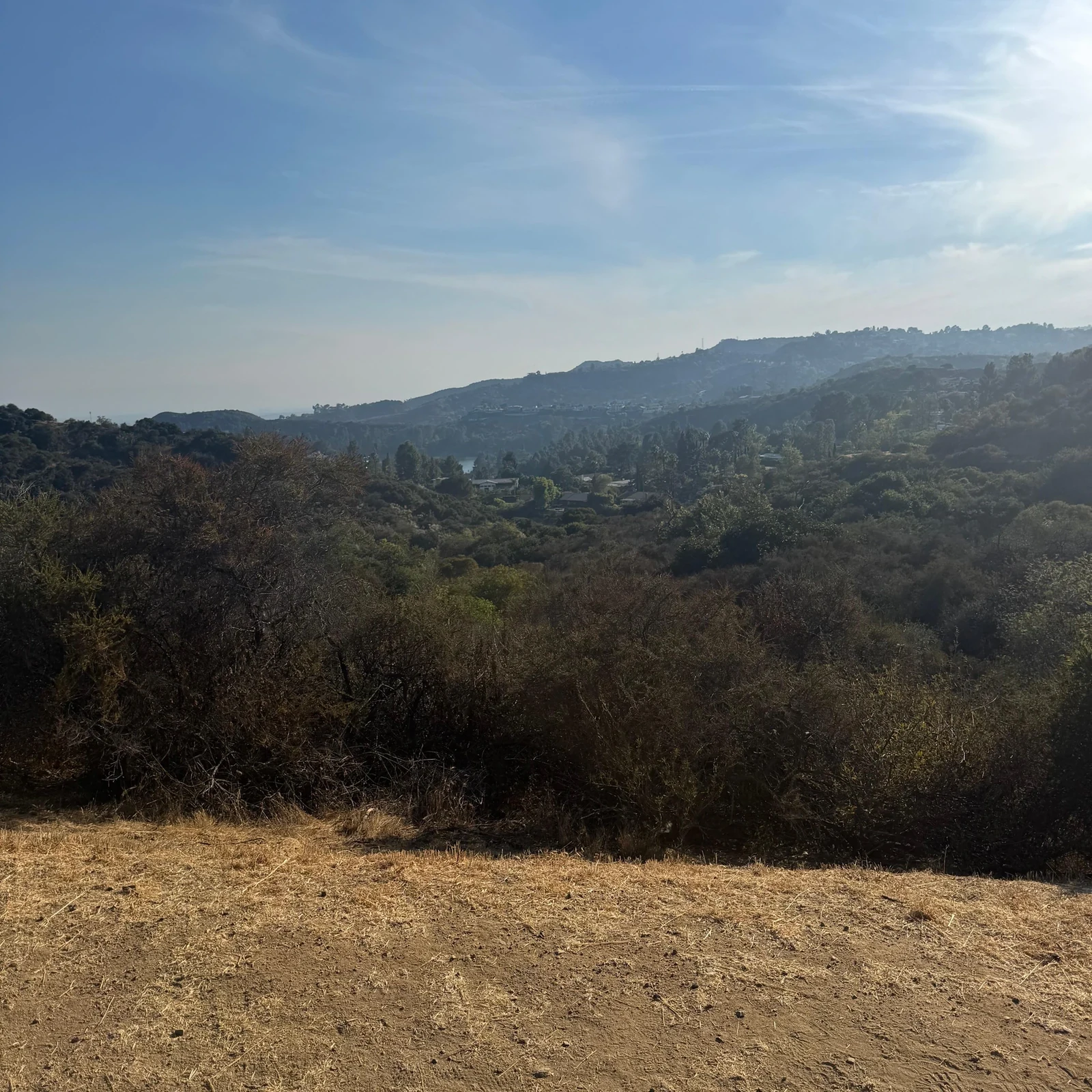 Visite du Hollywood Sign à Los Angeles : vues et photos en 90 minutes