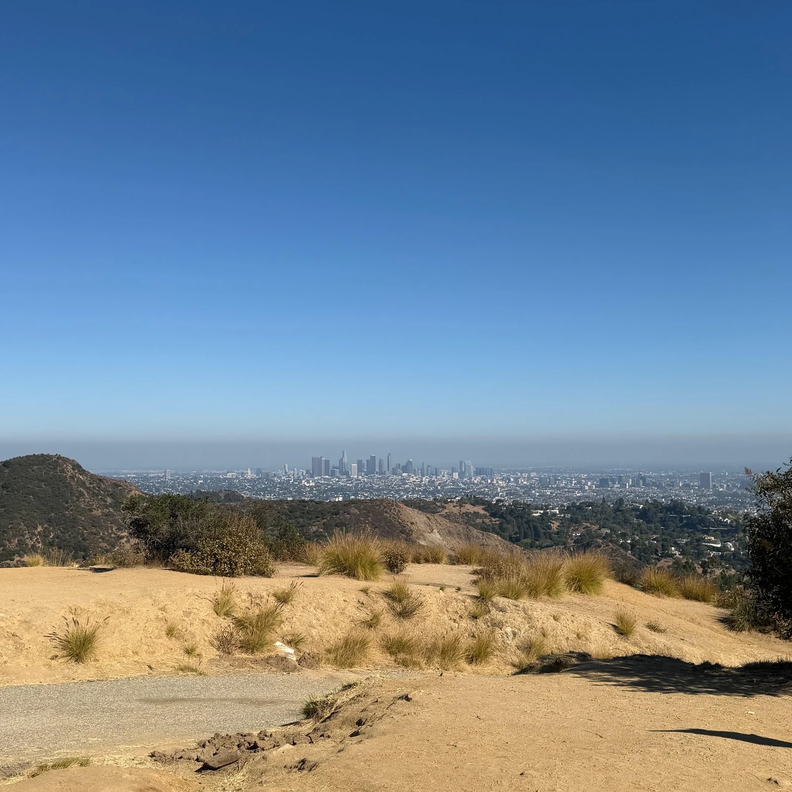 Visite du Hollywood Sign à Los Angeles : vues et photos en 90 minutes